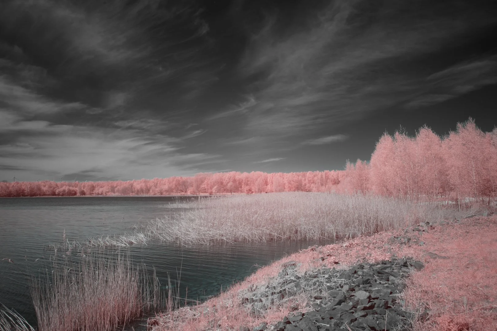 Regeneration-lake 1.jpg