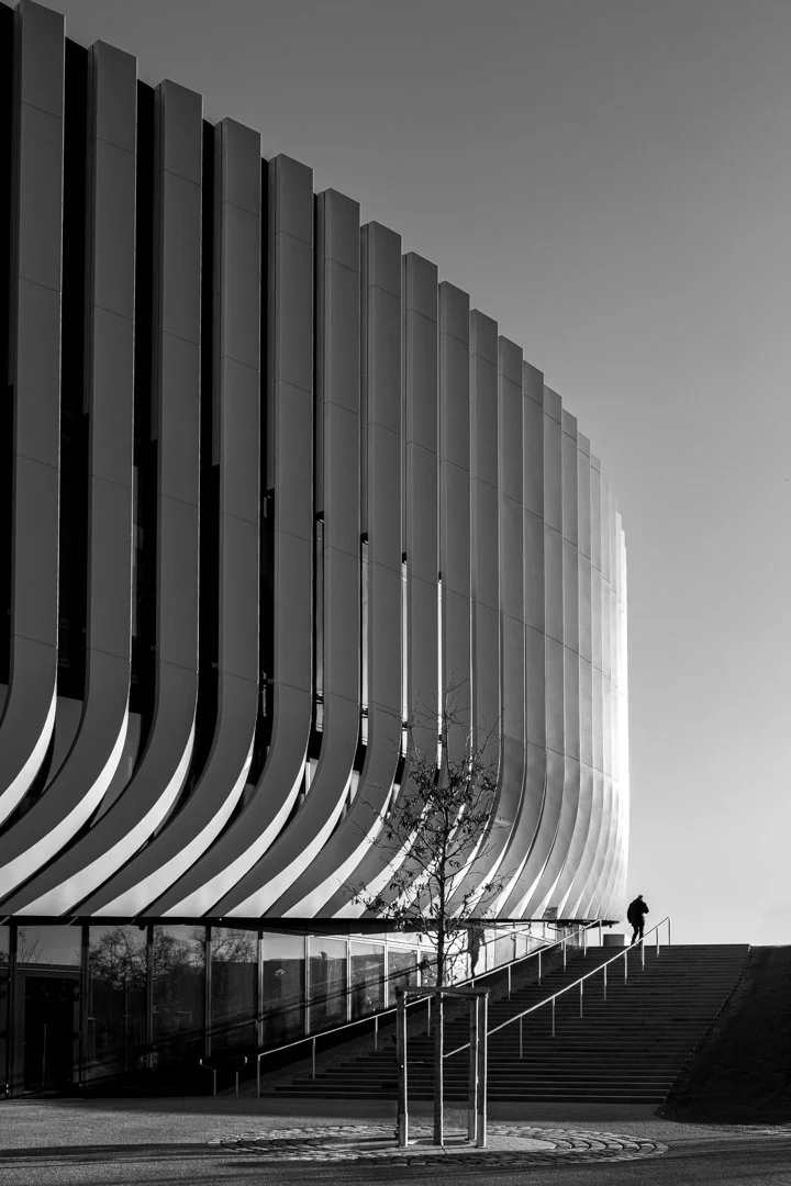L1020415.jpg