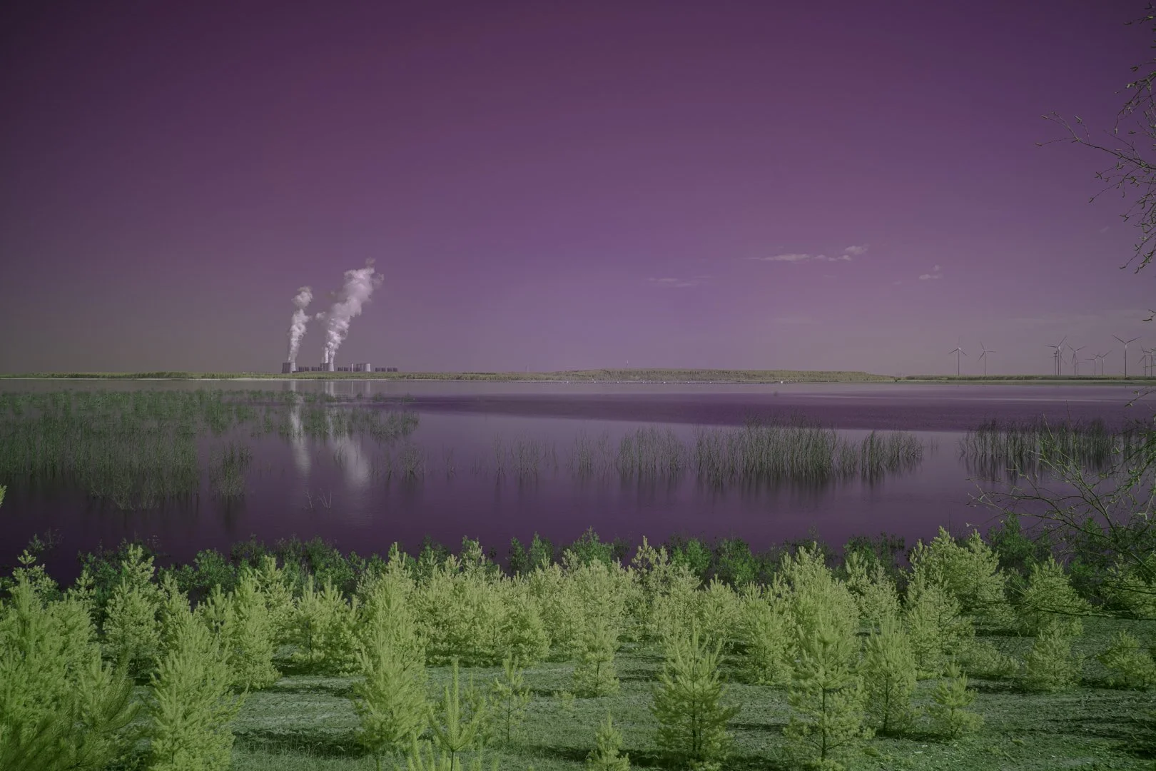 Cottbuser Ostsee-Tagebau Lake-regeneration 1.jpg