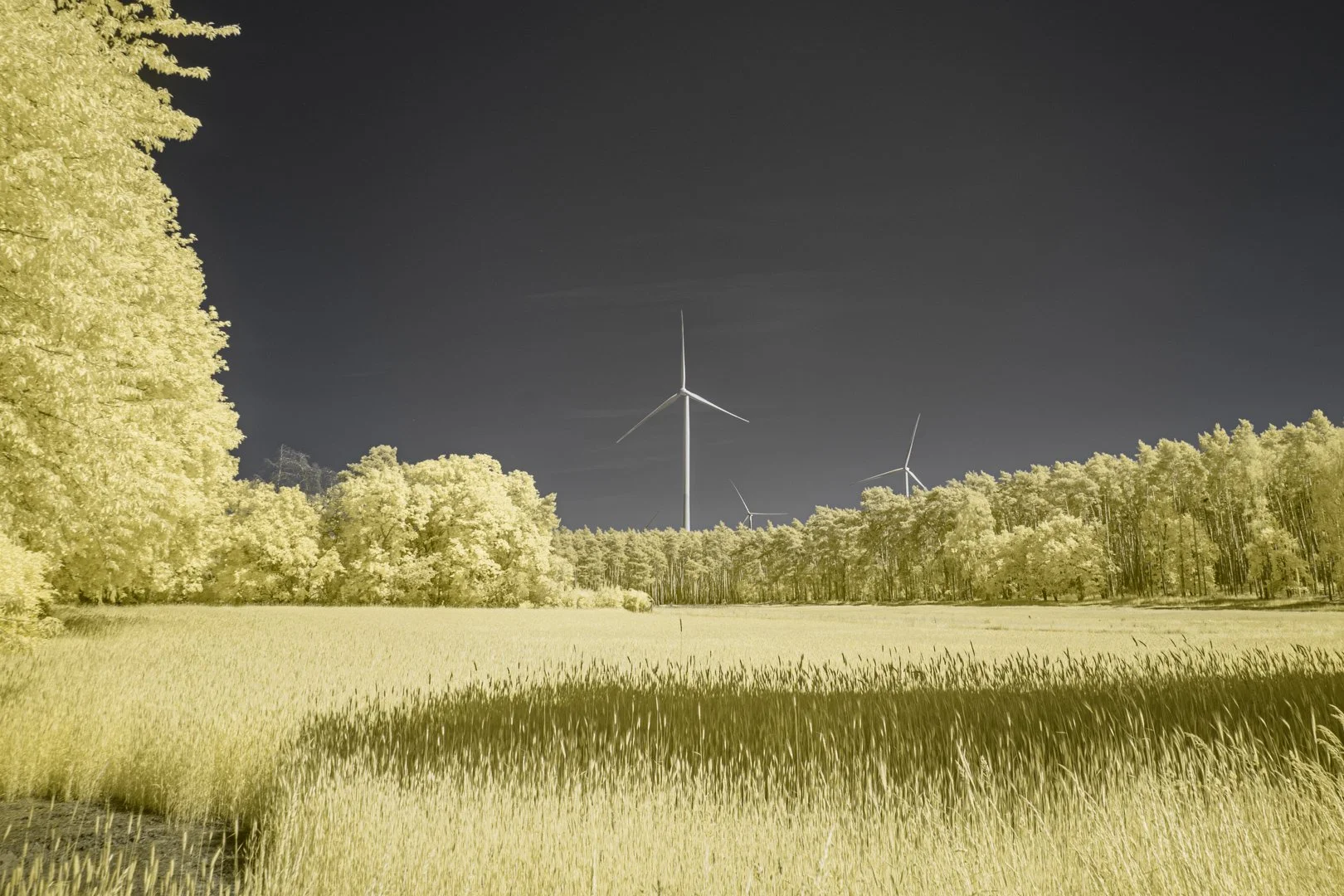 Brandenburg-renewables 2.jpg