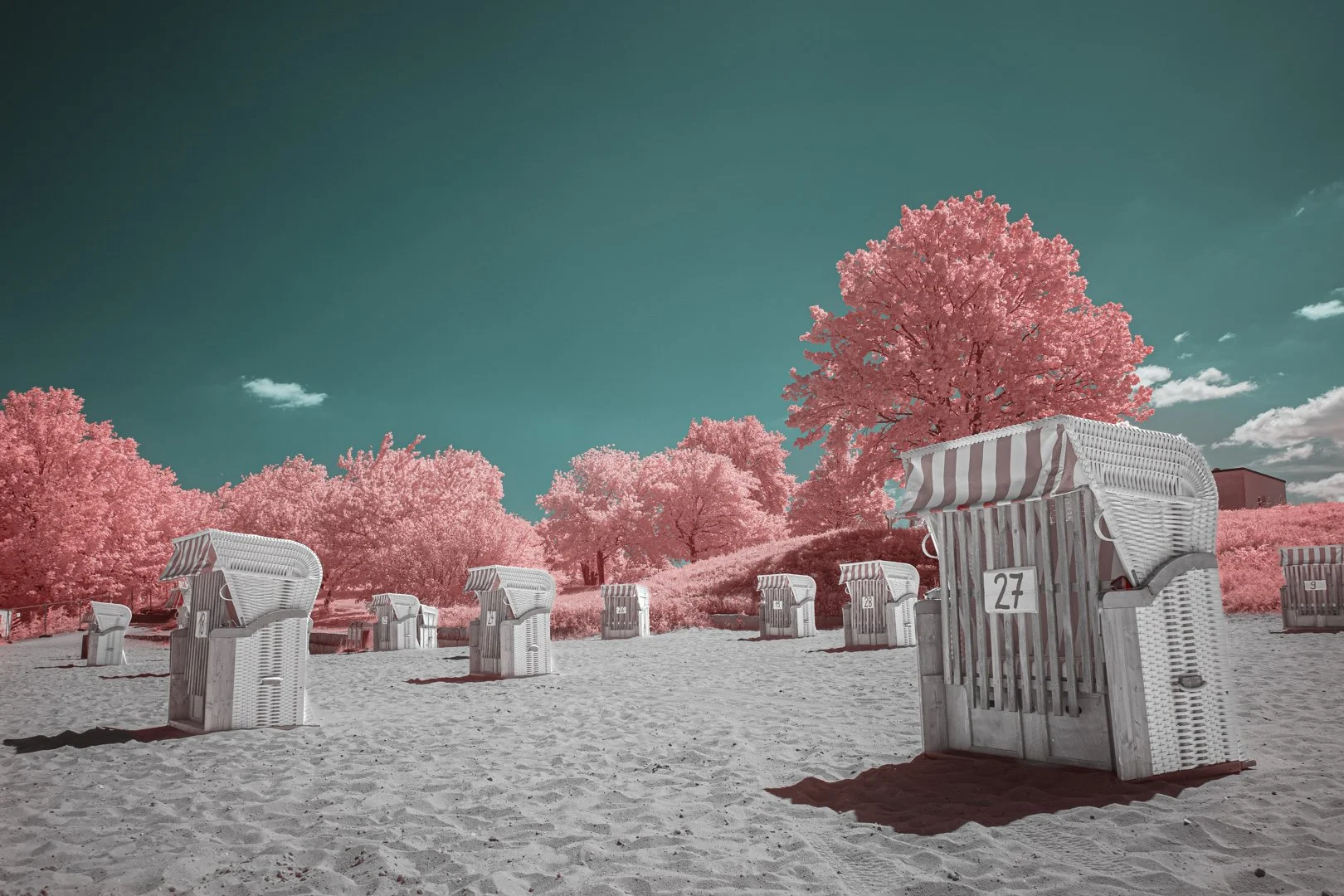 Beach-Regneration-Brandenburg.jpg