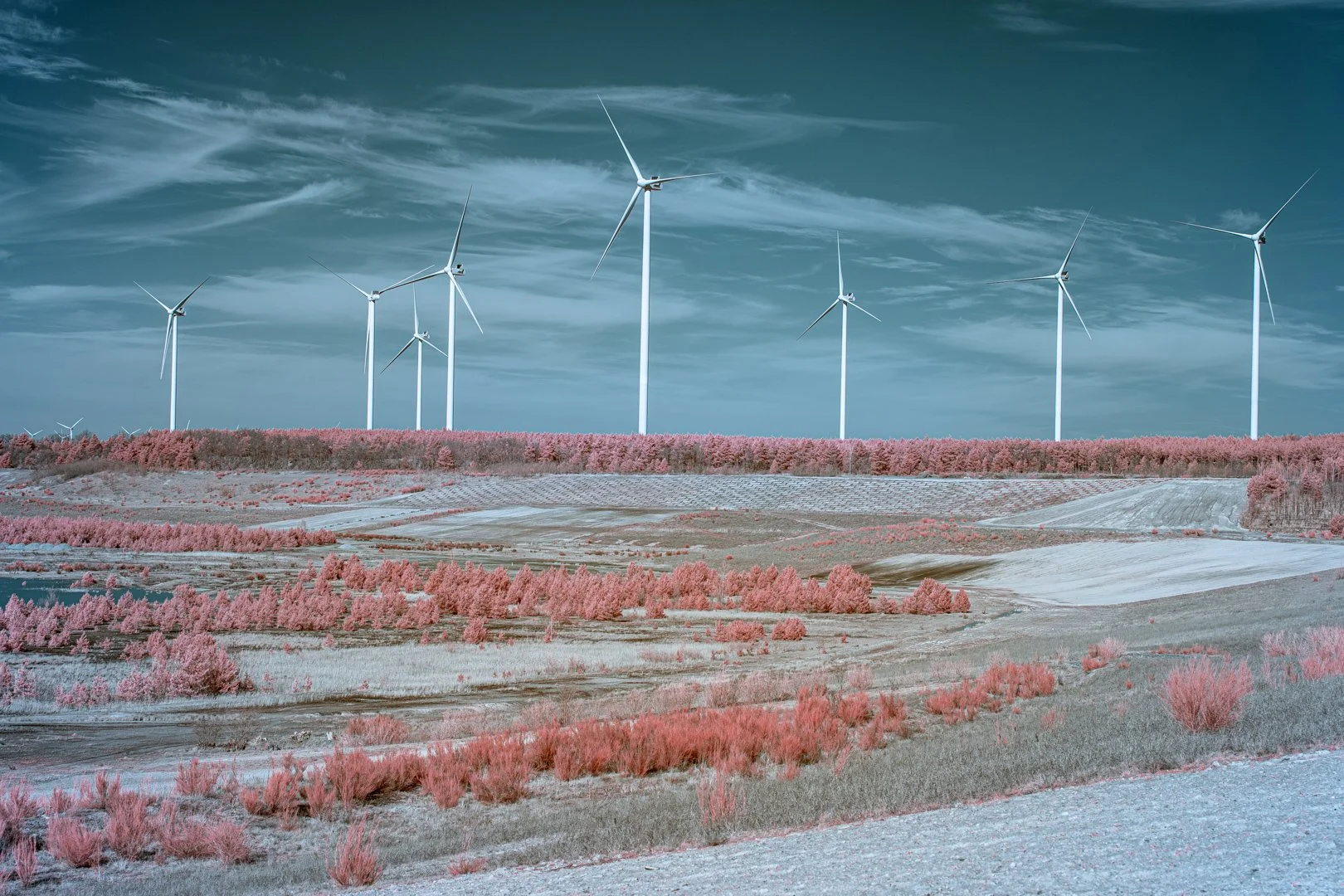 Brandenburg-renewables 1.jpg