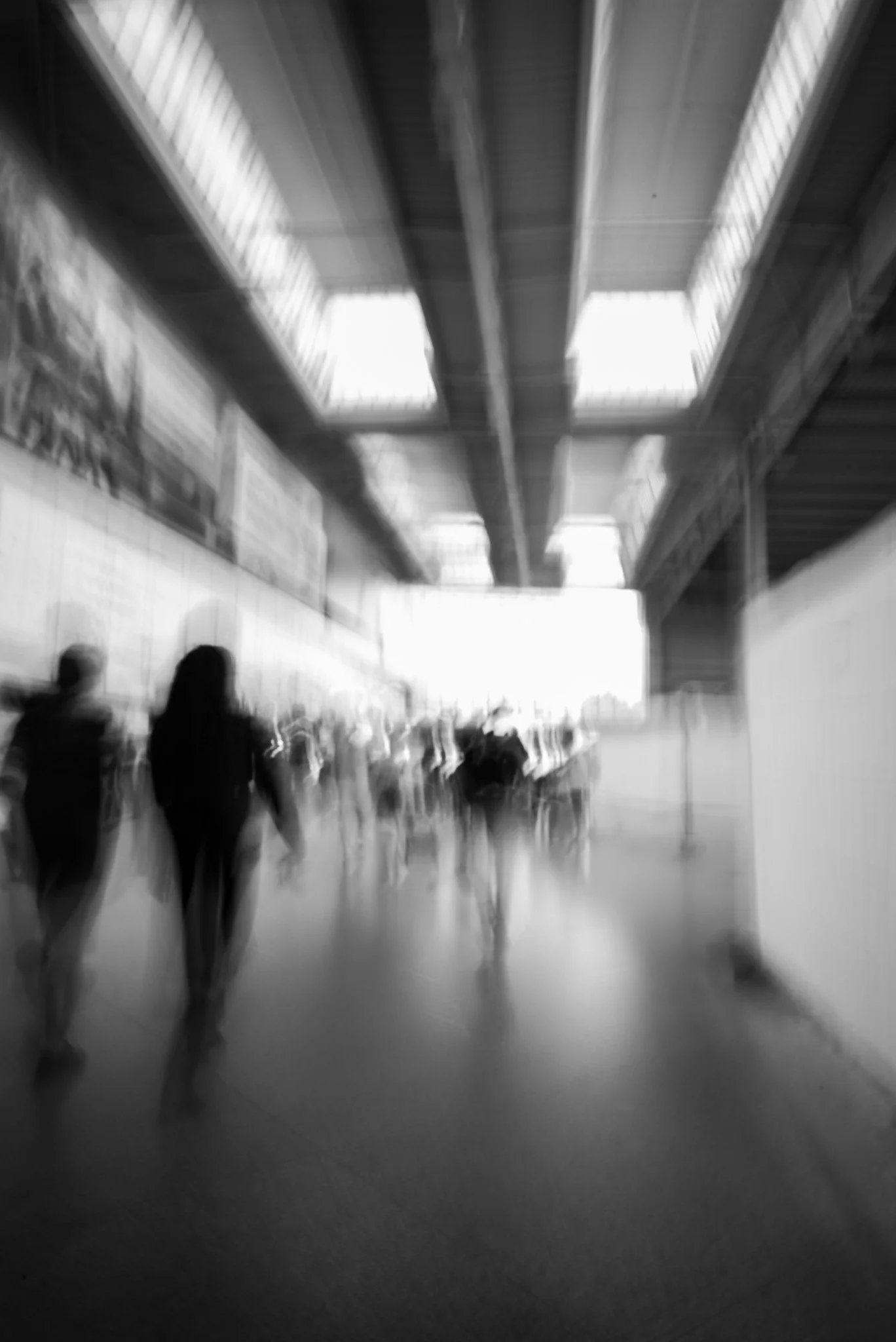 L1006747 2.jpg