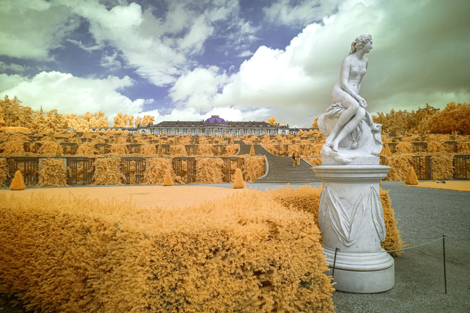 P1056463-2.jpg
