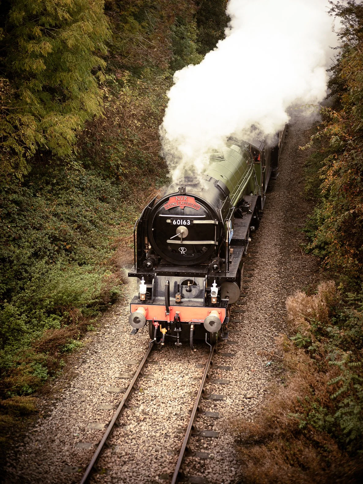 A vintage steam locomotive emitting white steam as it travels through a wooded area with trees on both sides of the tracks.