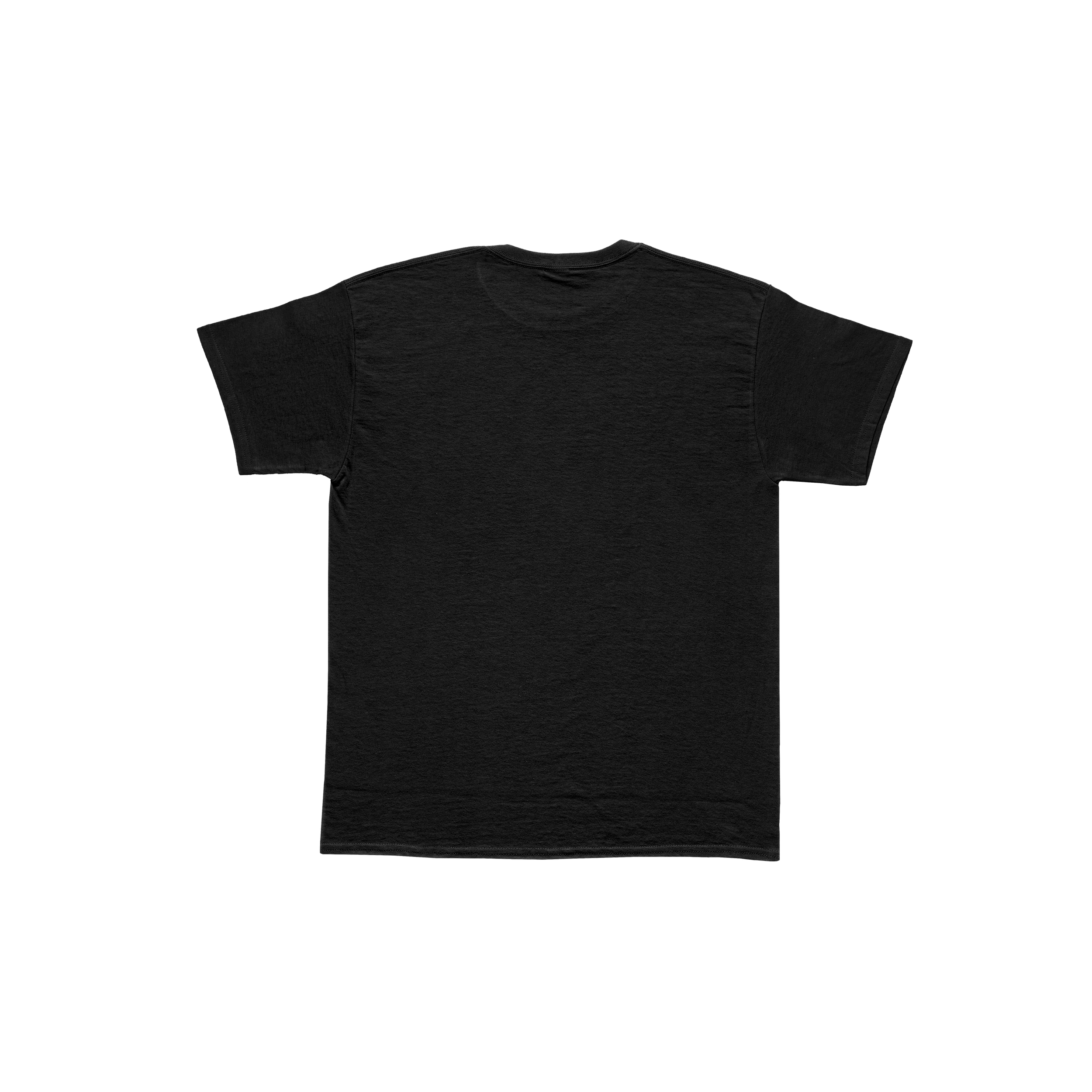 T-shirt copy.png