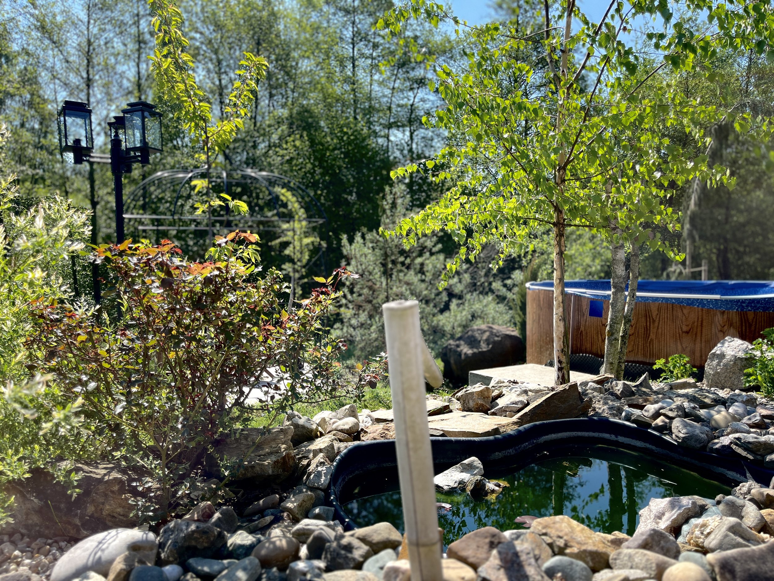 A garden scene with lush green plants, trees, and a small pond surrounded by rocks. There is a black pond liner in the foreground, and a white PVC pipe is visible. In the background, a decorative metal garden arch and a blue above-ground pool can be seen. The sky is clear and sunny.