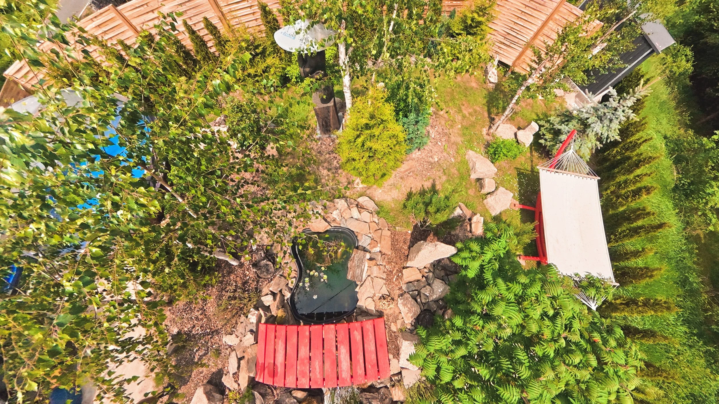 An outdoor garden area with lush greenery, a small pond or water feature, rocks, and a red bench. There are various trees and plants, a wooden fence in the background, and a small white canopy or shade structure.