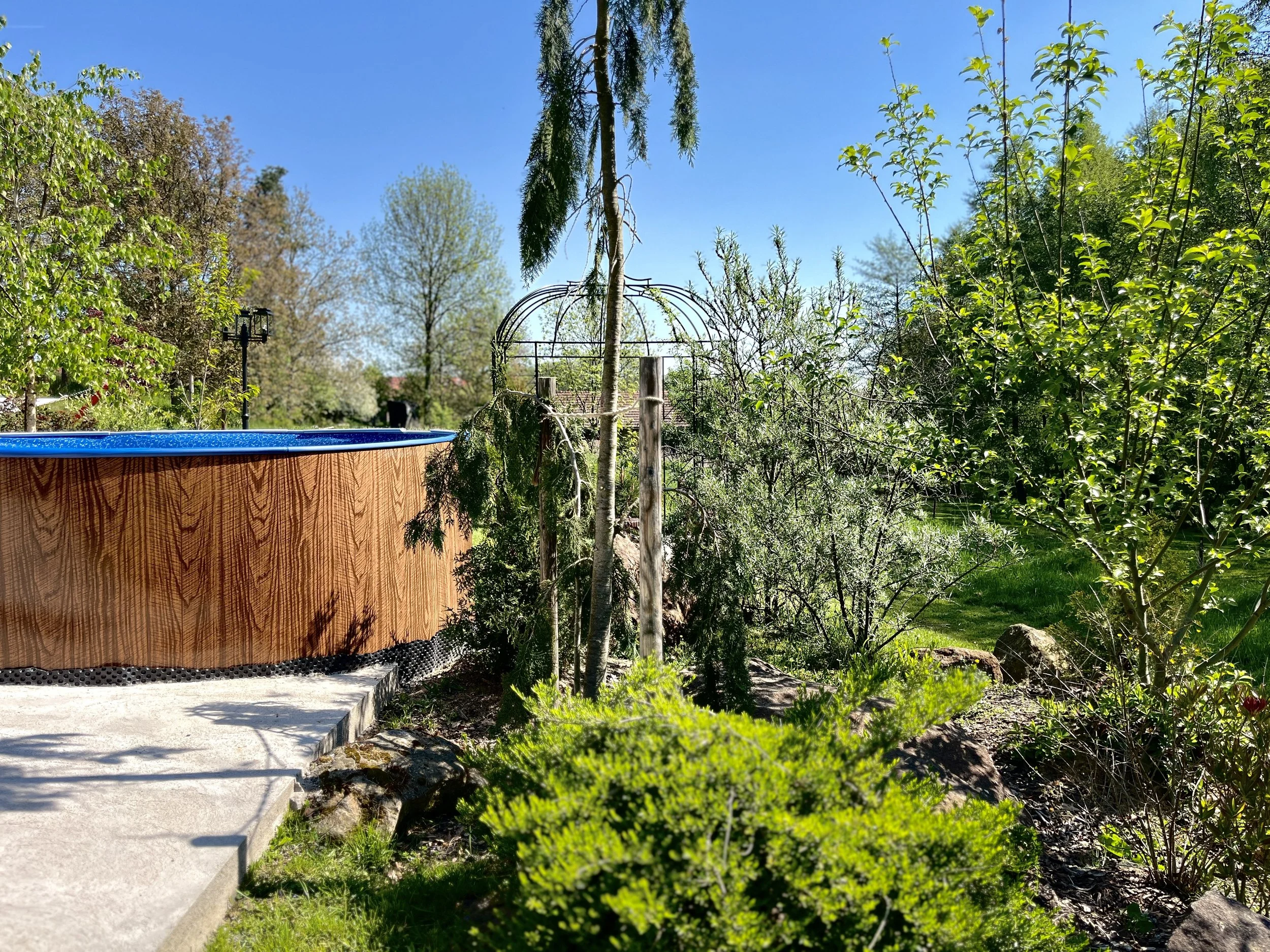 A backyard garden with trees, bushes, and a wooden fence with a blue top. There is a concrete pathway with steps leading into the garden, and a metal arbor in the background. The sky is clear and blue, and sunlight filters through the branches and leaves.