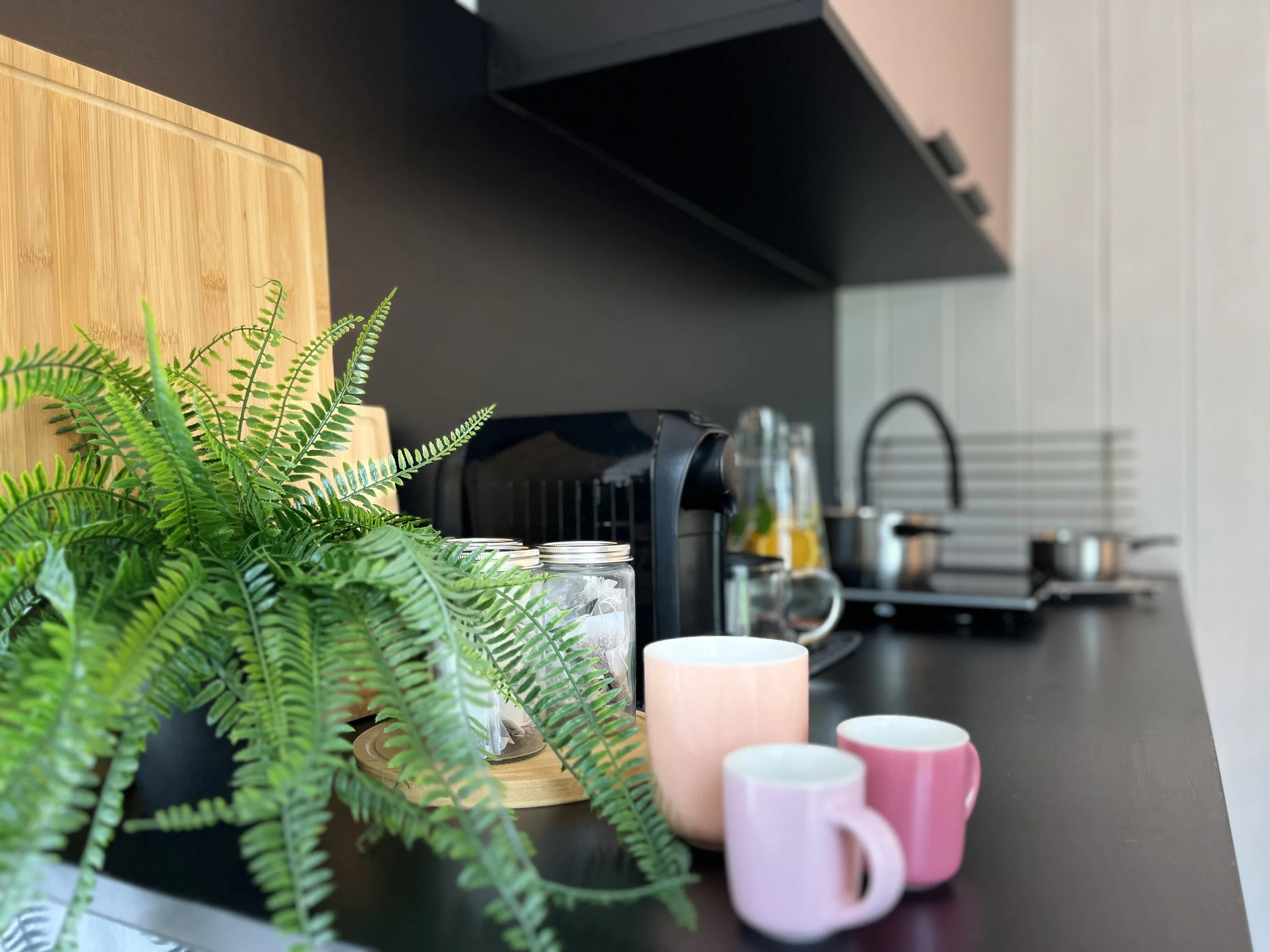 A kitchen countertop with a potted fern plant, three pink and white mugs, jars, and a coffee machine in the background. The wall has white vertical paneling.