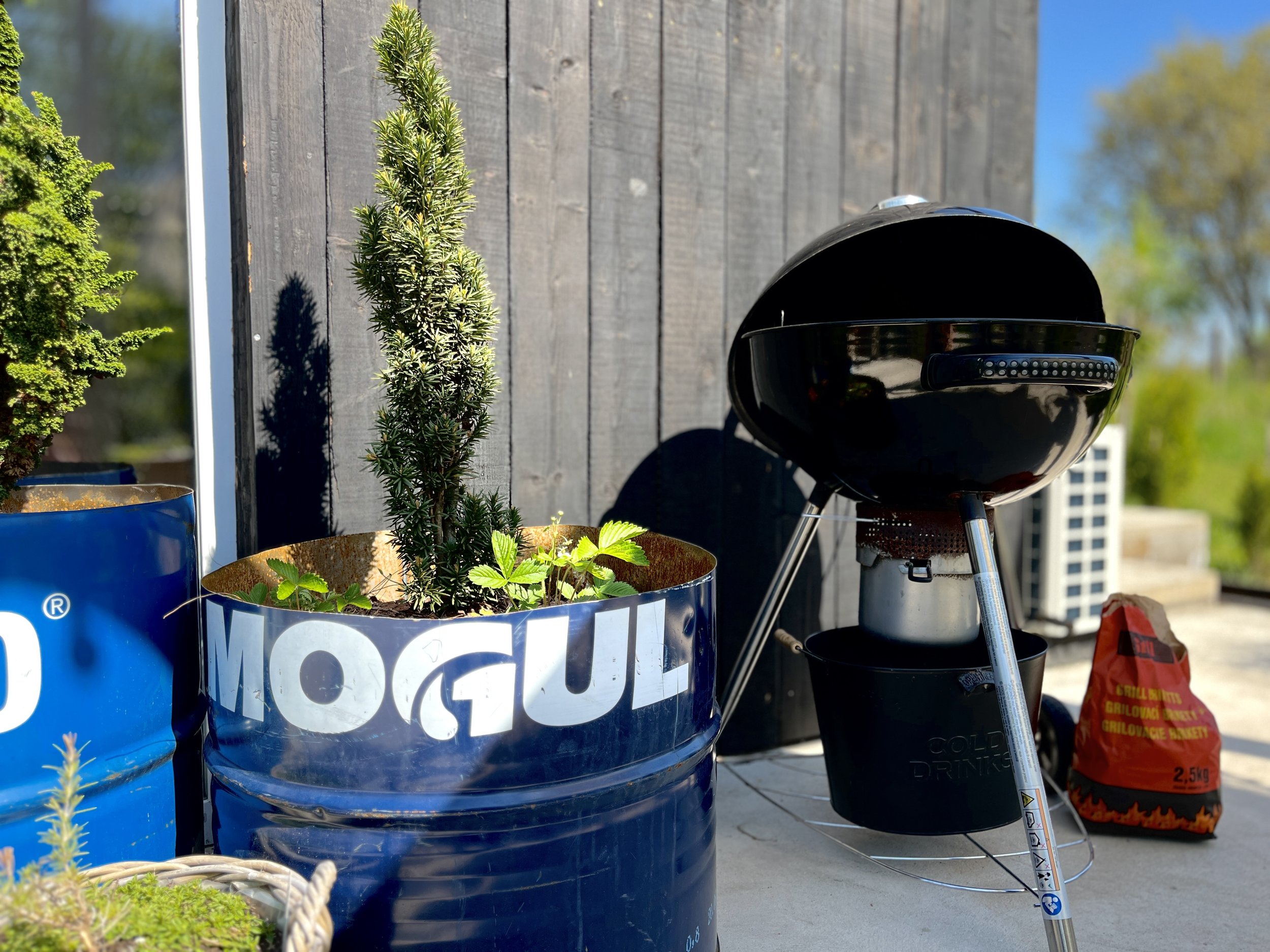 Potted plants on a balcony with a charcoal grill and a red bag of charcoal in the background, sunny outdoor setting.