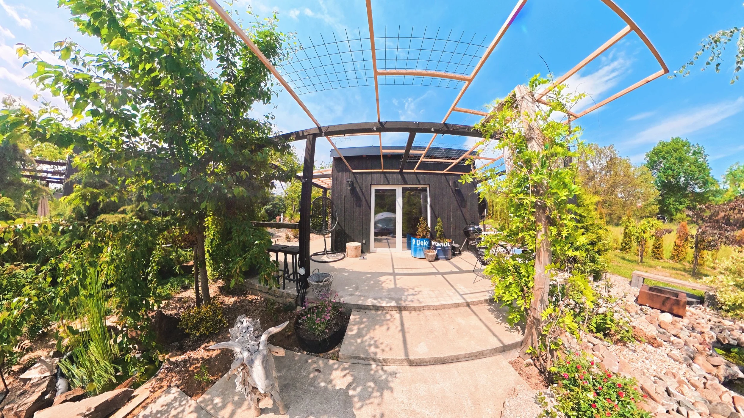 Backyard patio area with garden, trees, and a small black building with a sliding door, under a blue sky with some clouds, decorated with plants, chairs, and various gardening supplies.