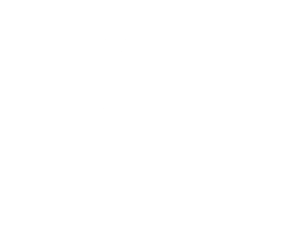 A3