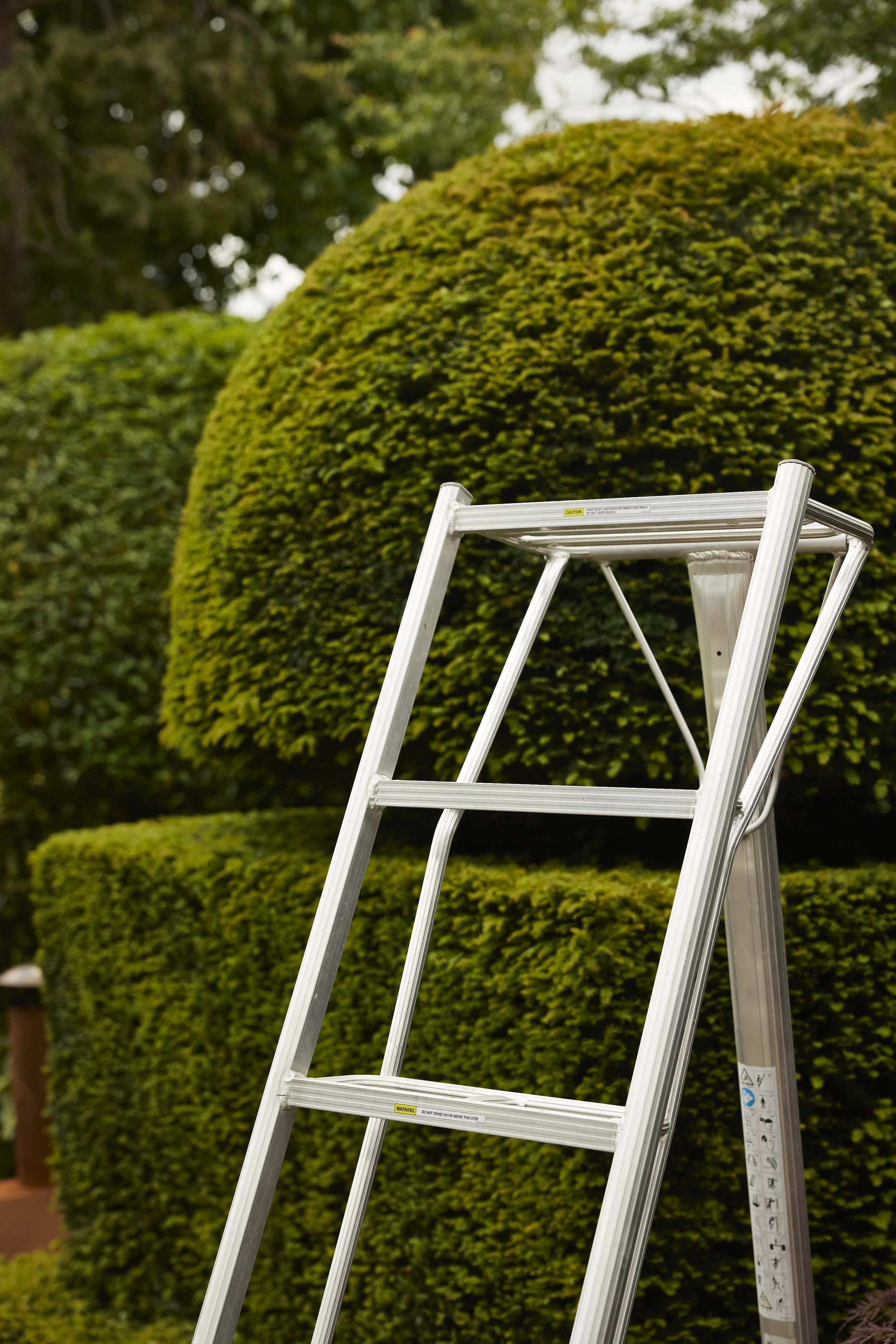 A white step ladder standing outdoors in front of neatly trimmed green bushes and trees.