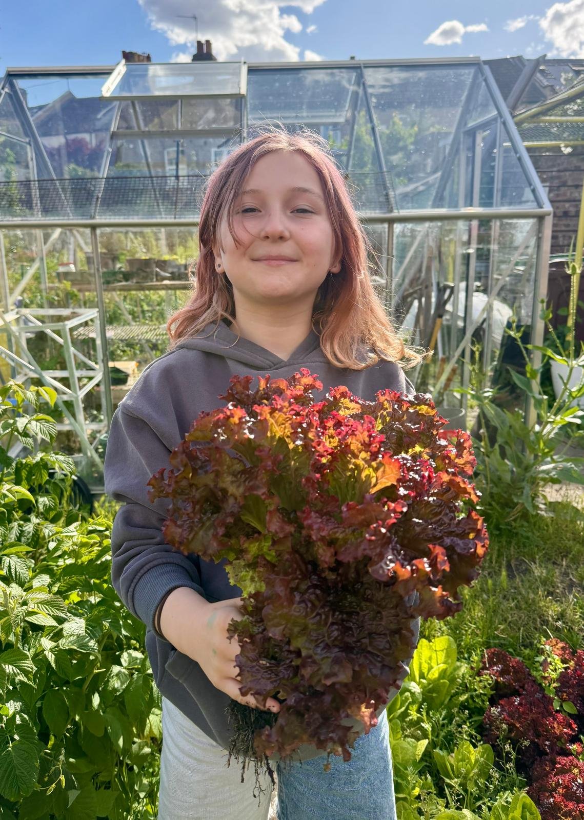 A young woman standing in a garden holding a large bunch of red and green leafy lettuce. She is smiling and wearing a gray hoodie, with green plants and a greenhouse in the background under a blue sky with clouds.