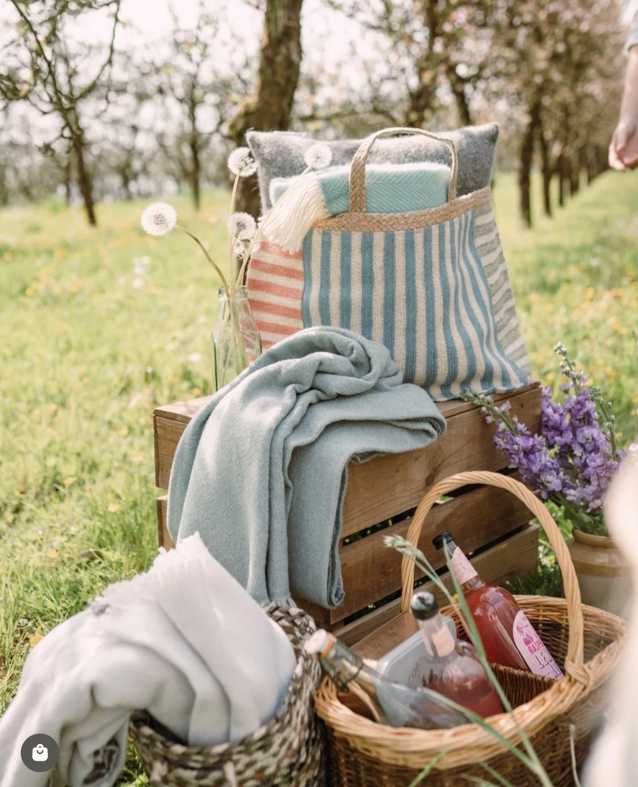 Picnic setup with a wooden crate holding a blanket, a striped bag with a towel and flowers, a gray scarf, and a basket with drinks, set in an outdoor grassy area with trees in the background.