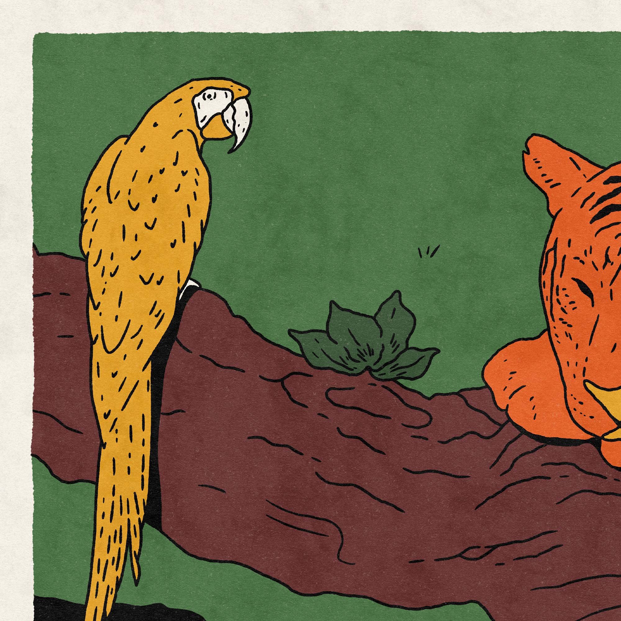 tigers parrot and yogi mock 05.jpg