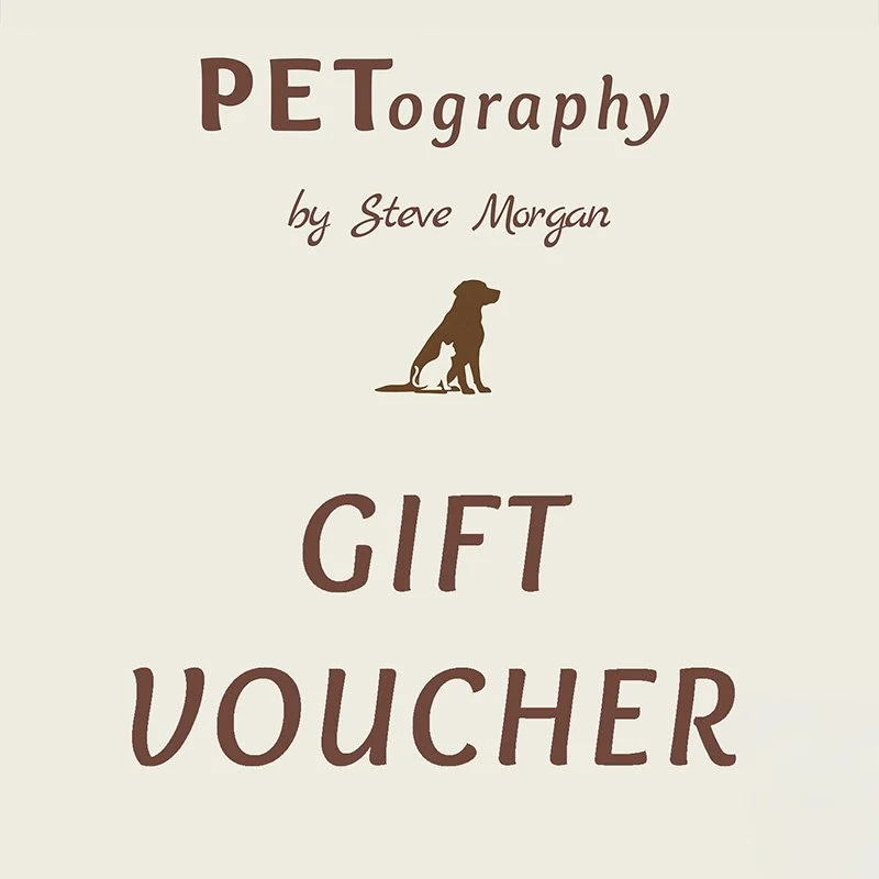 Gift Voucher square small.jpg