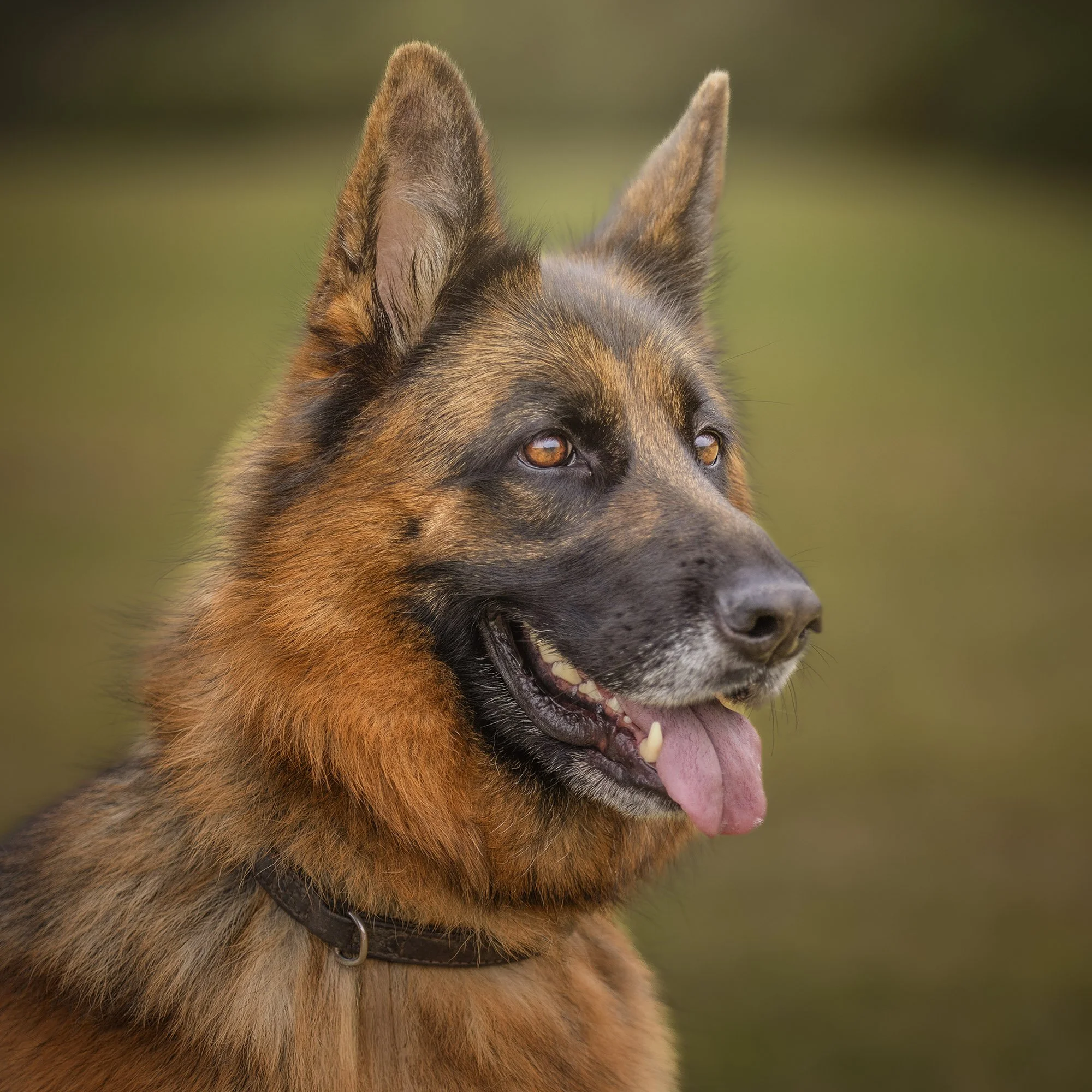 Zuri Square Headshot.jpg