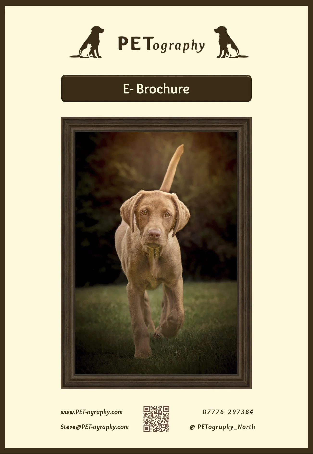 E-frame with a photograph of a young puppy walking towards the camera on a grassy field, background blurred with warm sunset colors, designed as a pet photography advertisement.