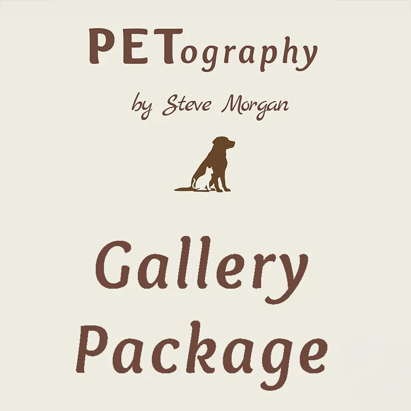 Gallery.jpg