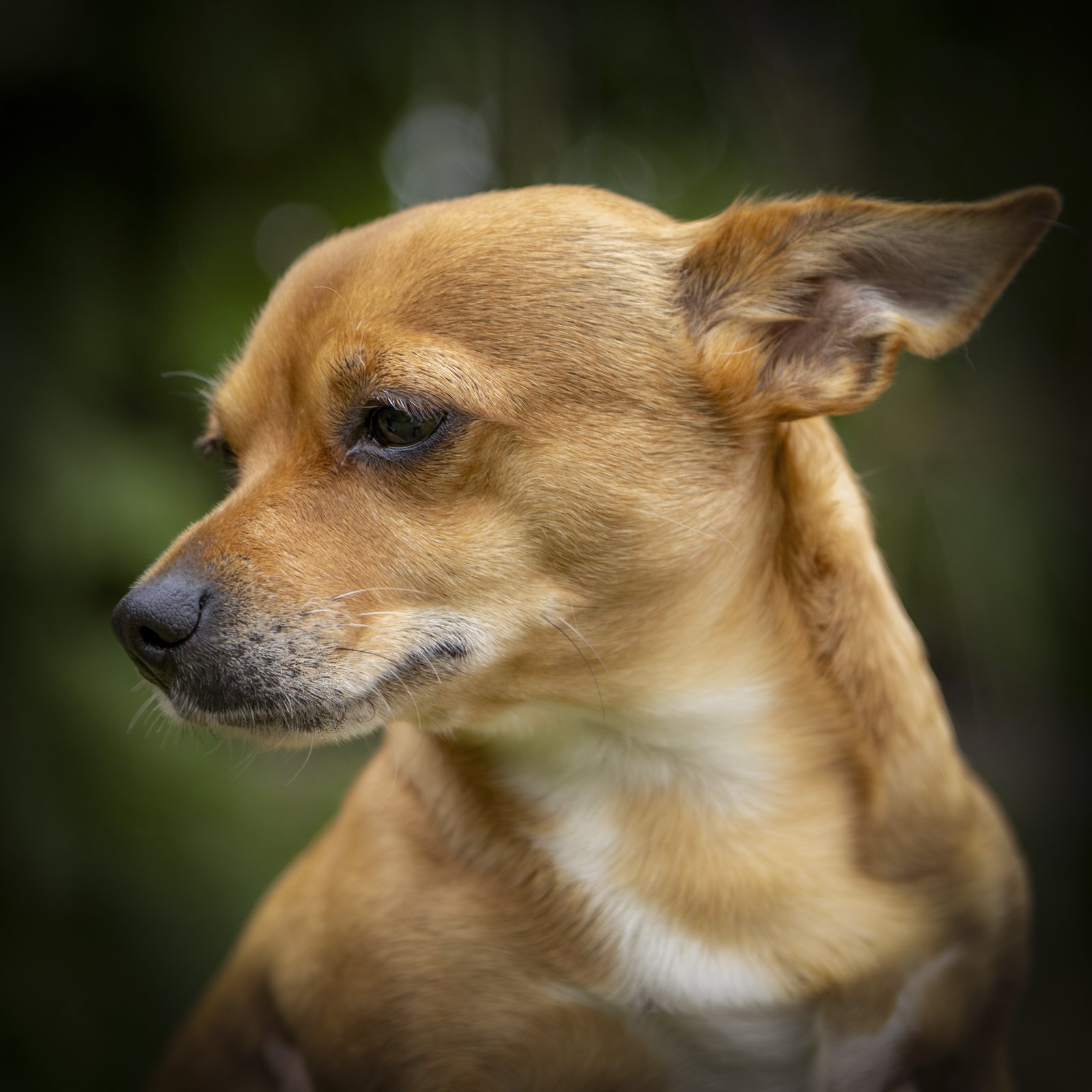 Riley Gallery014.jpg