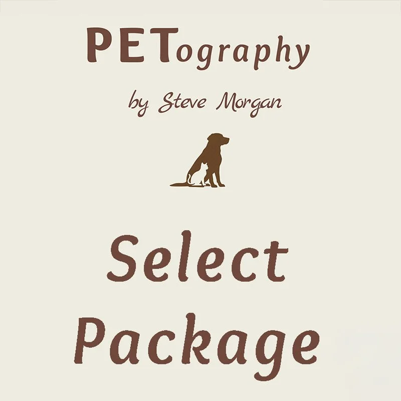 Select.jpg
