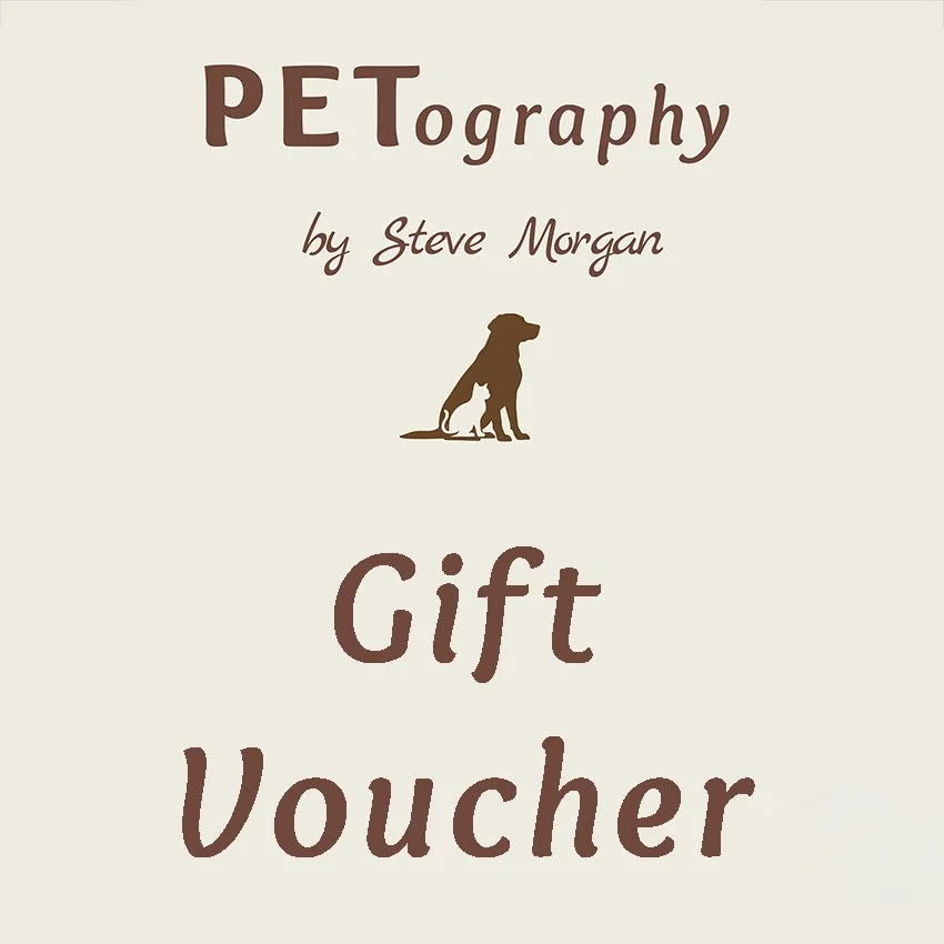 Voucher.jpg