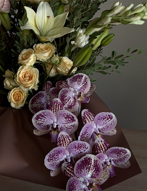 Add-On: Phalaenopsis Orchid