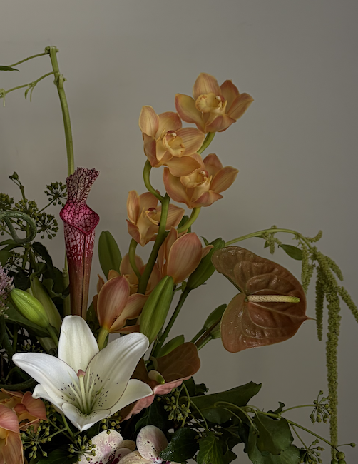 Add-On: Cymbidium Orchid