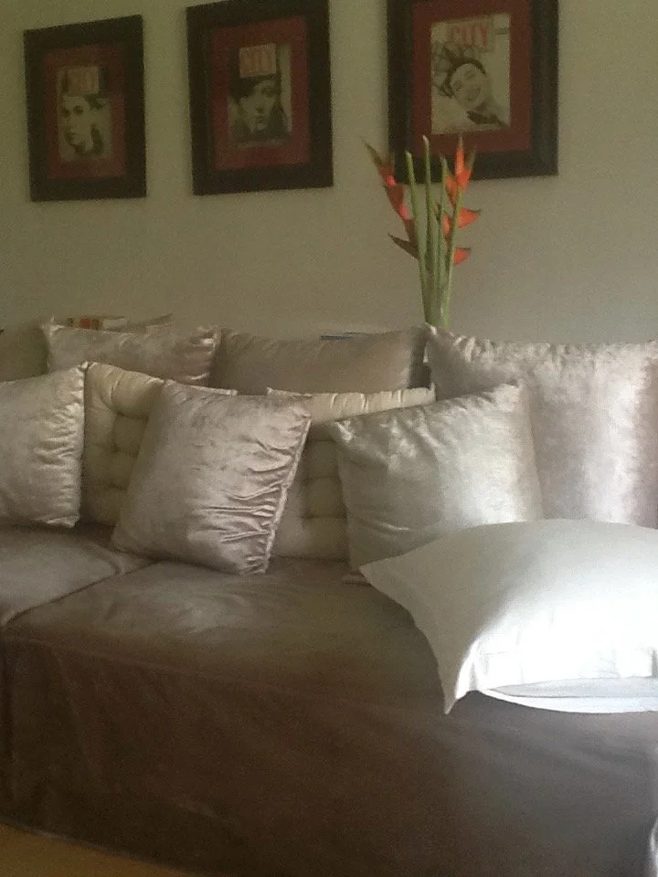 victor liccioni feng shui consultant ltt 5.jpg