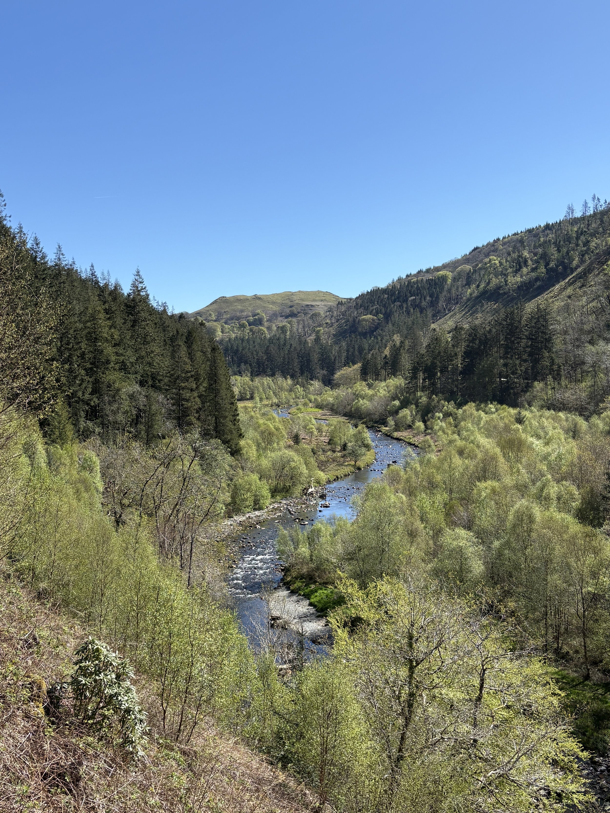 A scenic landscape featuring a river flowing through a lush green forest with hills in the background and a clear blue sky overhead.