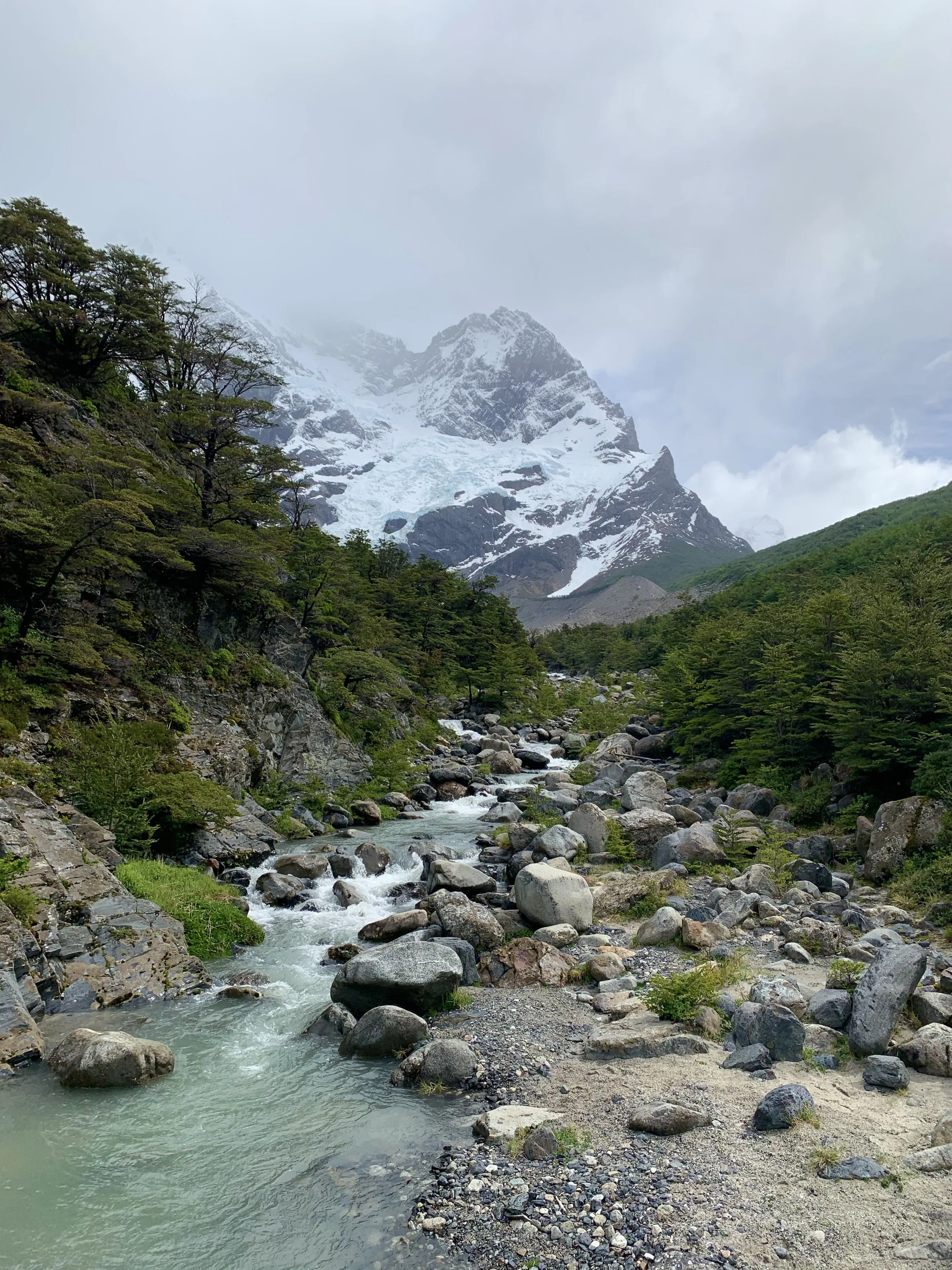Snow-capped mountain range with green forest at the base and a rocky stream flowing through the foreground.