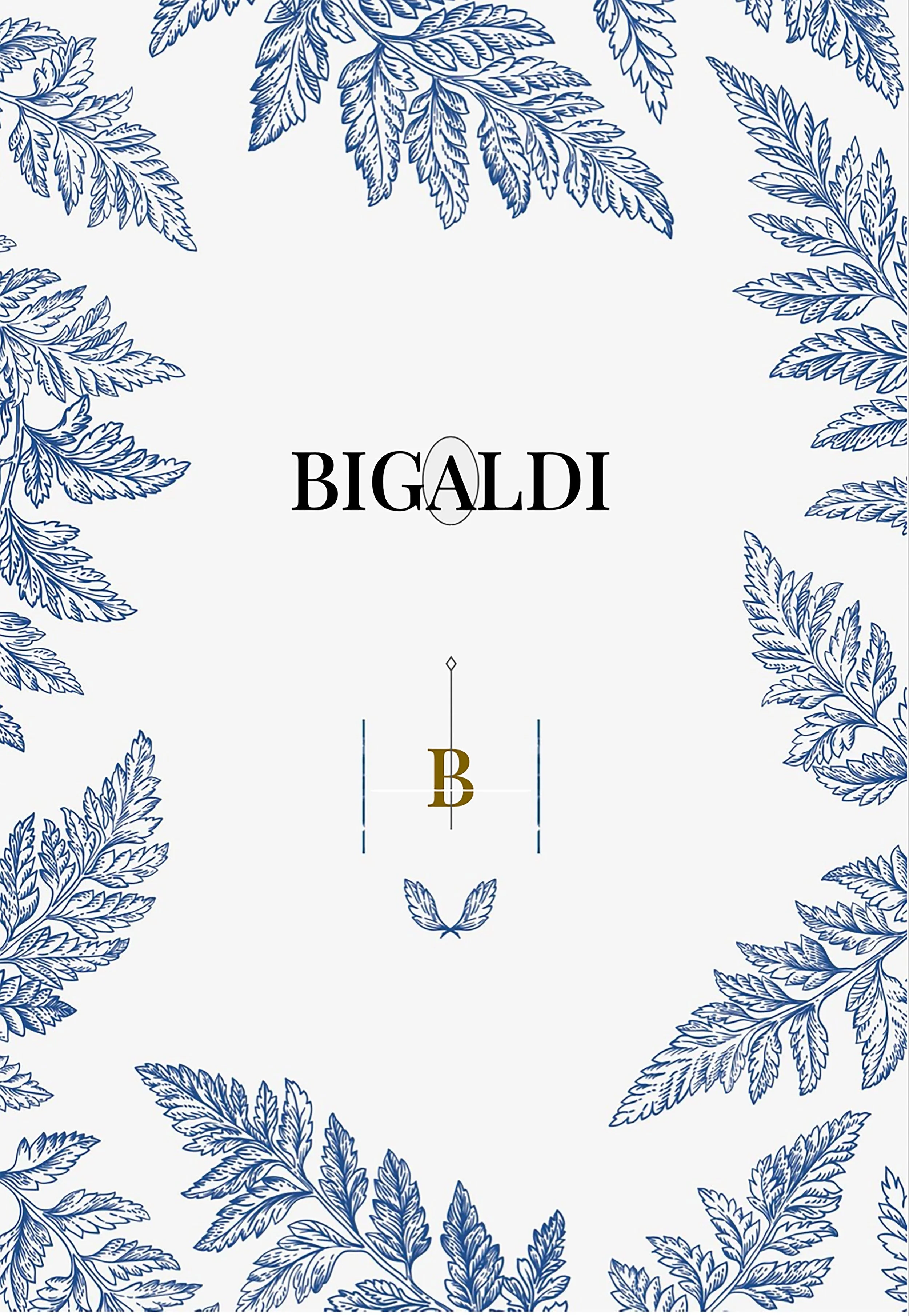 Bigaldi Branding.jpg