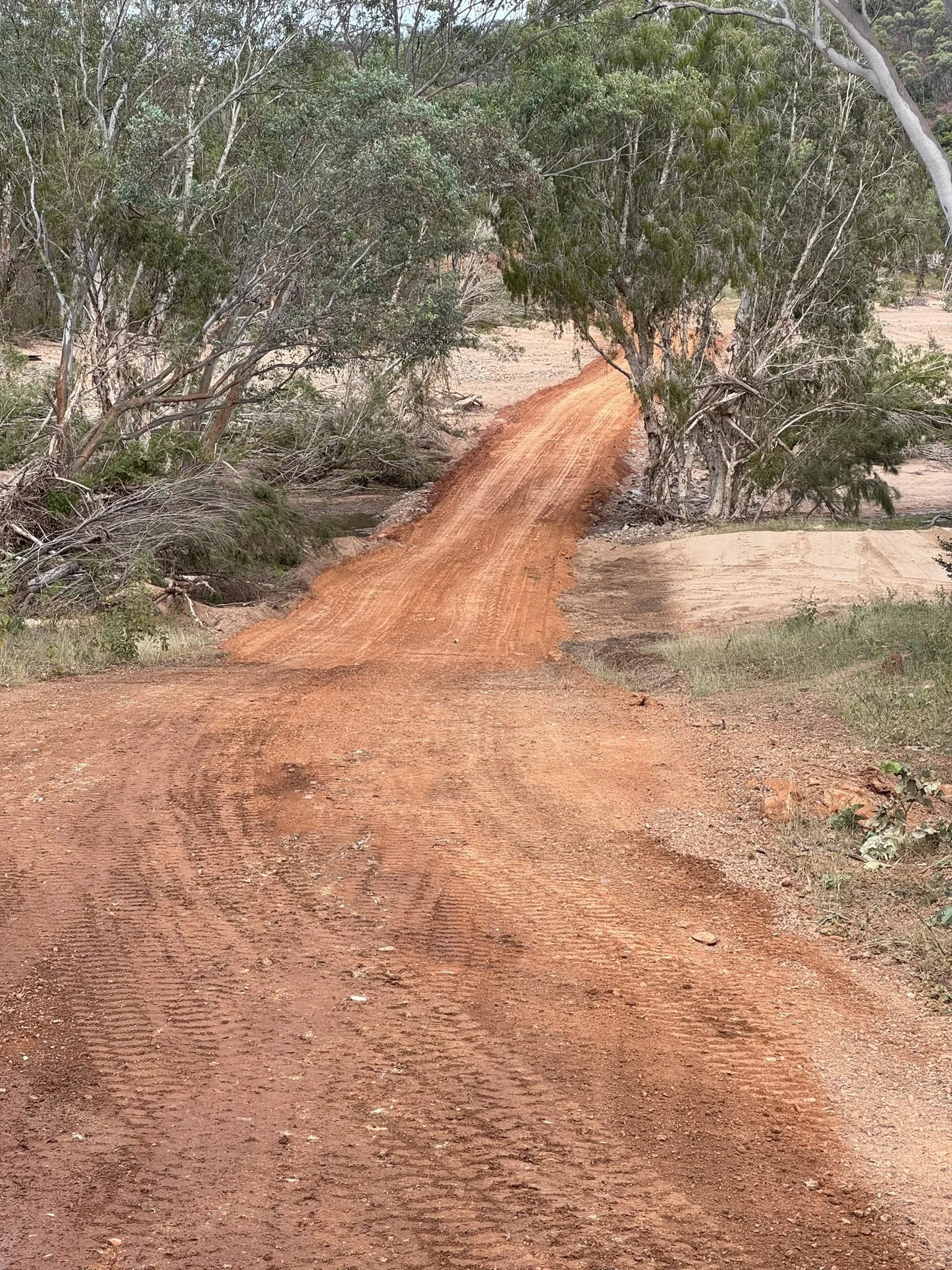 IMG_4422.JPEG