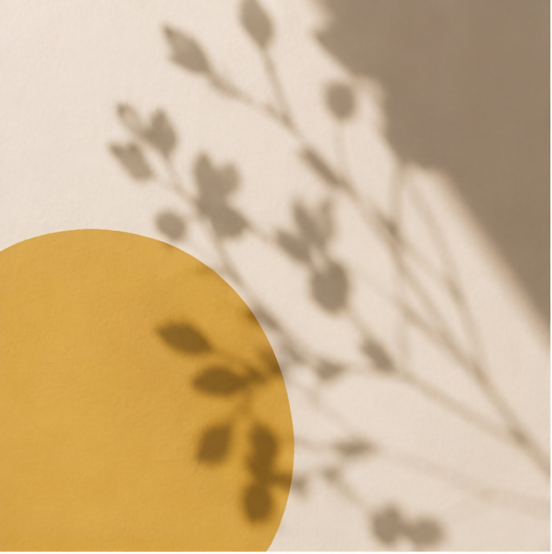 Close-up photo of shadows of leaves cast on a beige wall.