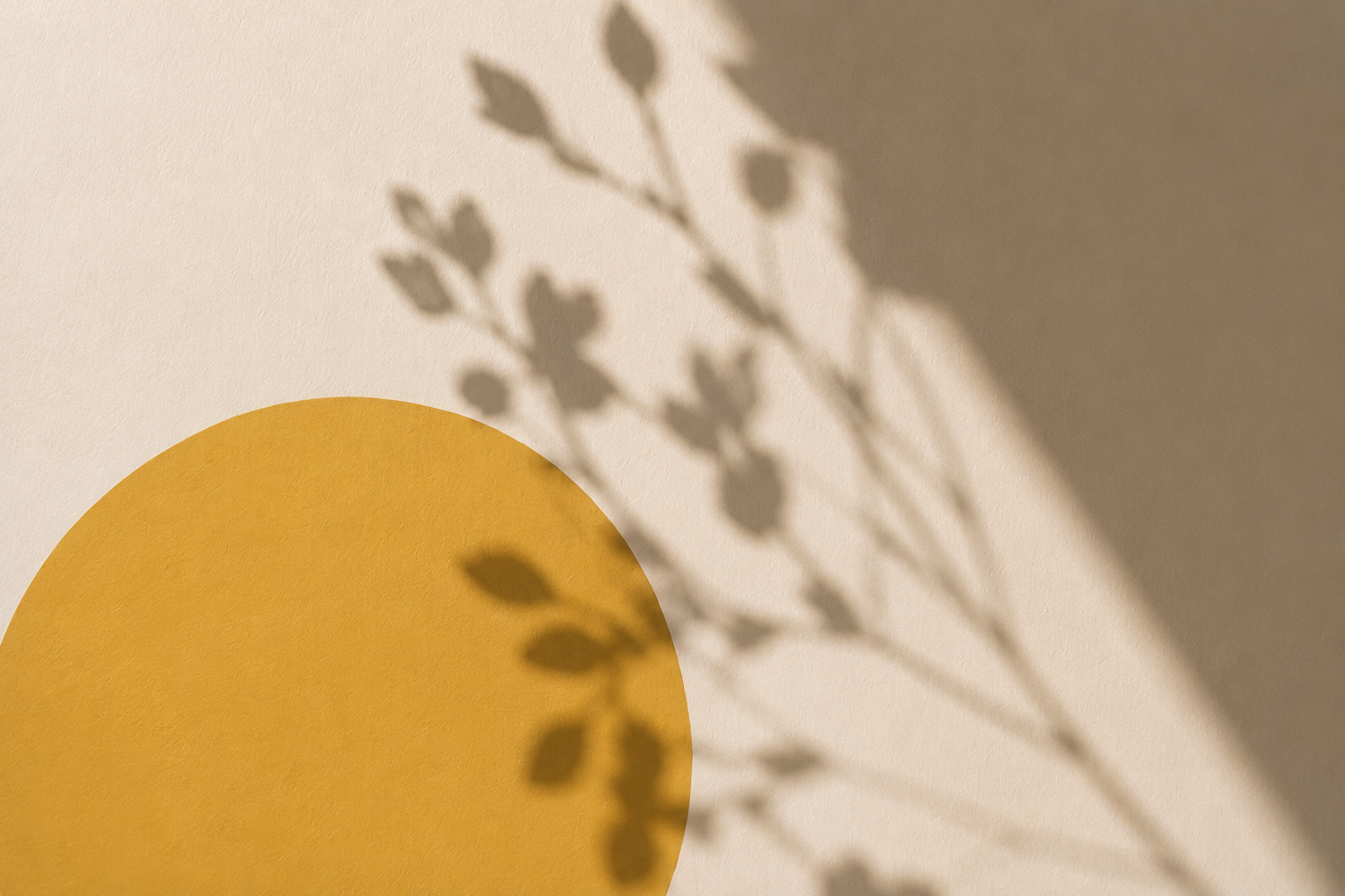Shadows of a plant with small leaves cast on a beige background, partially covering a yellow circle.