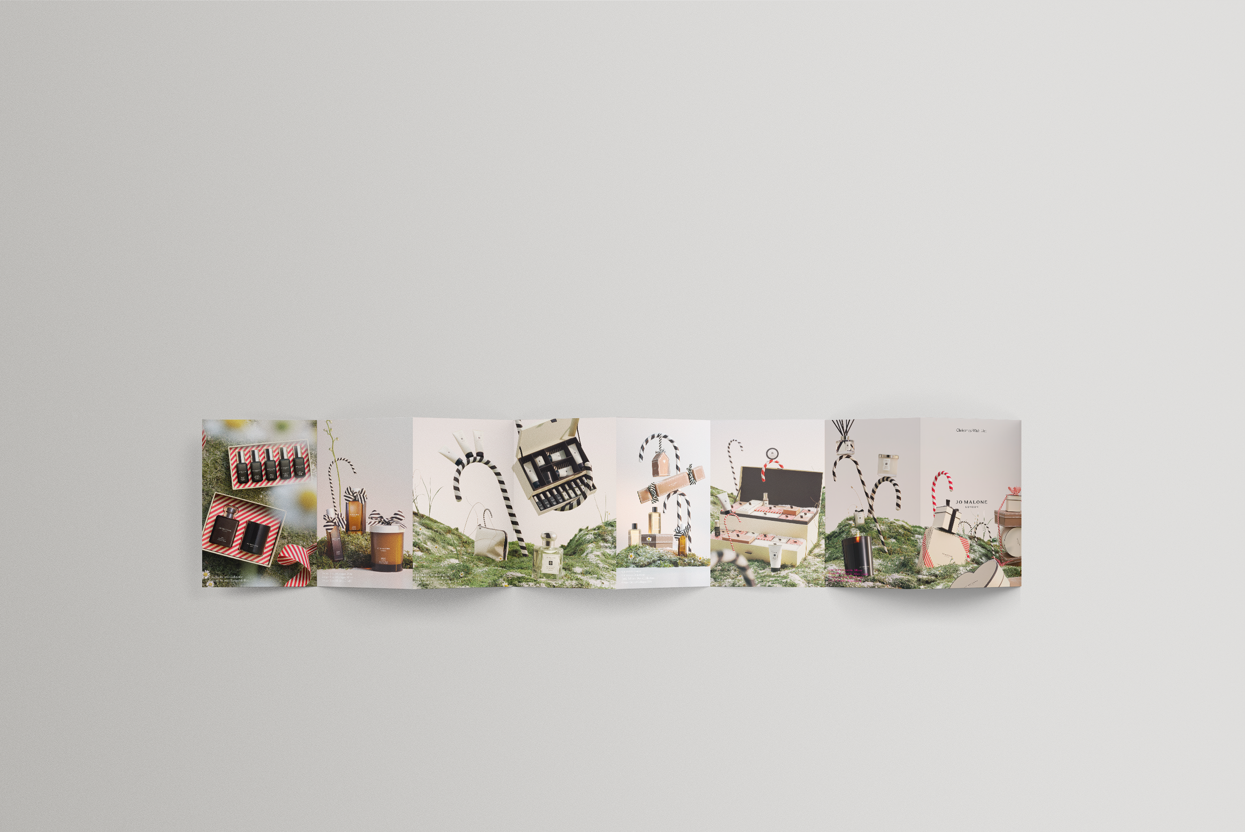 6 Fold Accordion Brochure Mockup.png
