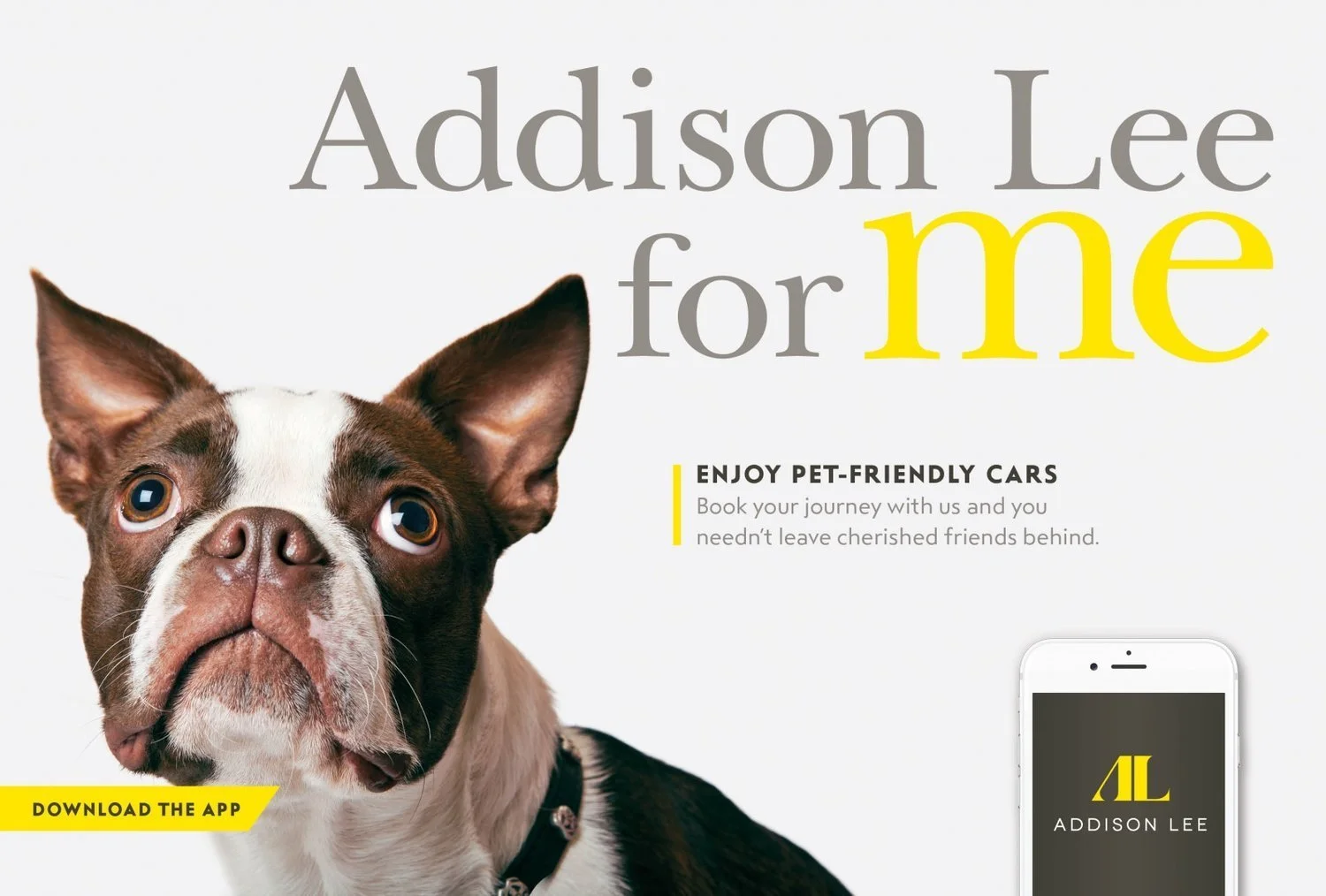 ADDISON_LEE_DOG_CITYAM_HP_259x175_V2-1598x1080.jpeg