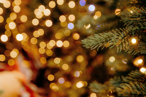 Holiday Disasters