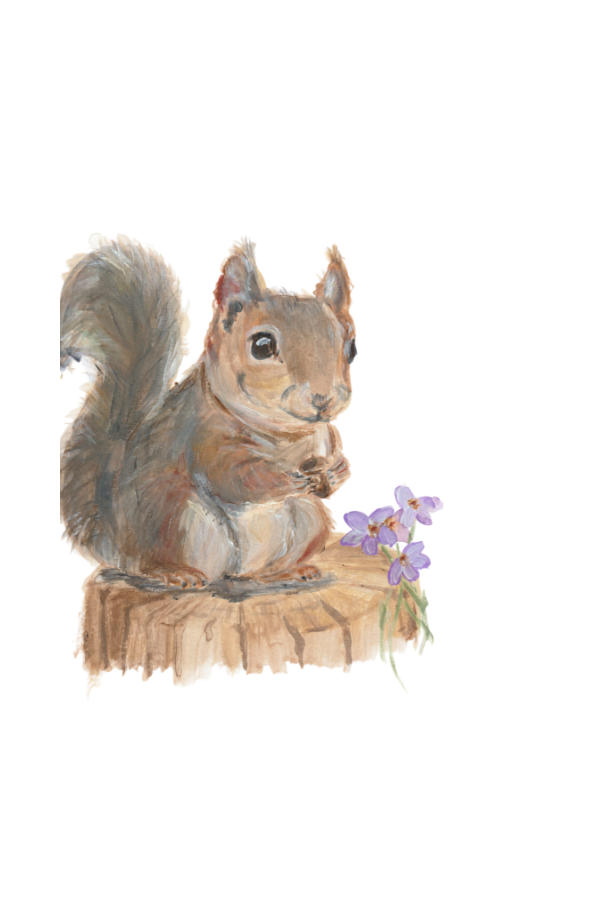 Original squirrel and violets painting by Kelly Lynne Figueiredo.
