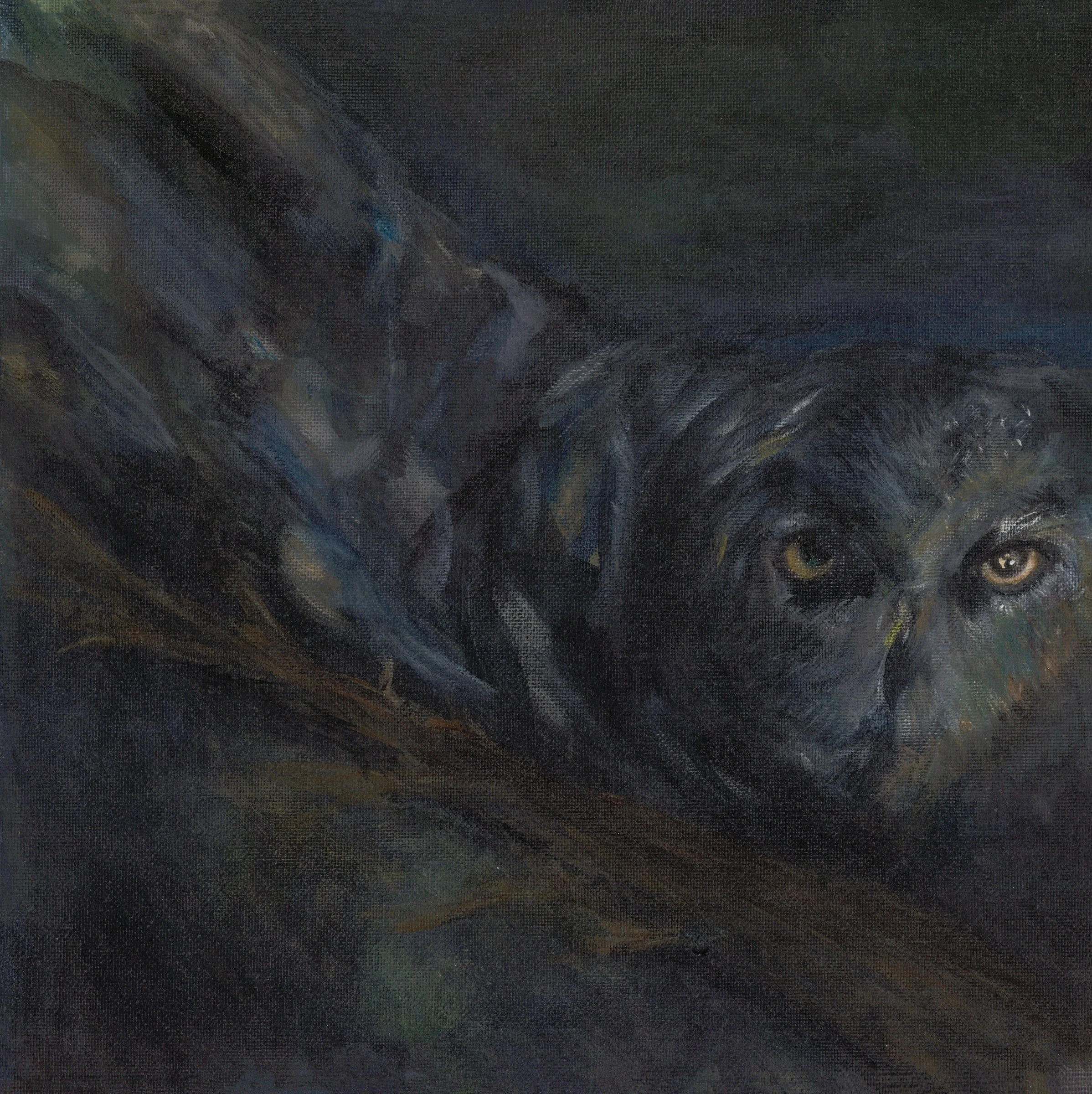 Owl — What the Darkness Reveals — Original Artwork