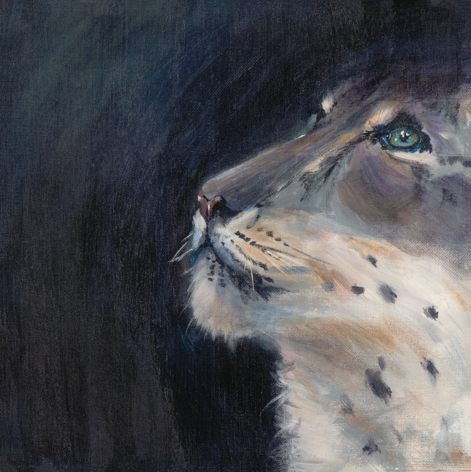 Snow Leopard from The Knowing collection by Kelly Lynne Figueiredo.