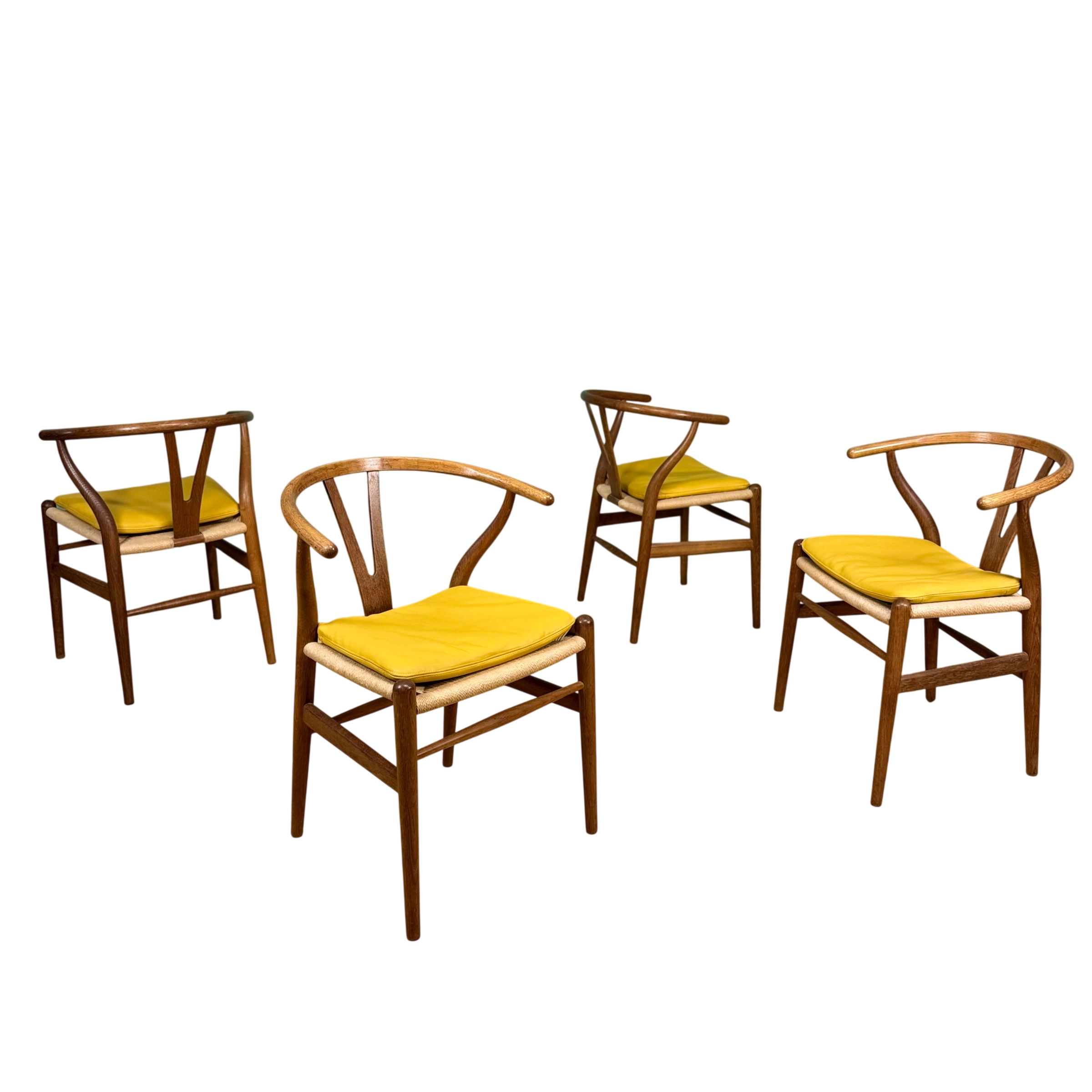 IMG_6481-Photoroom.png