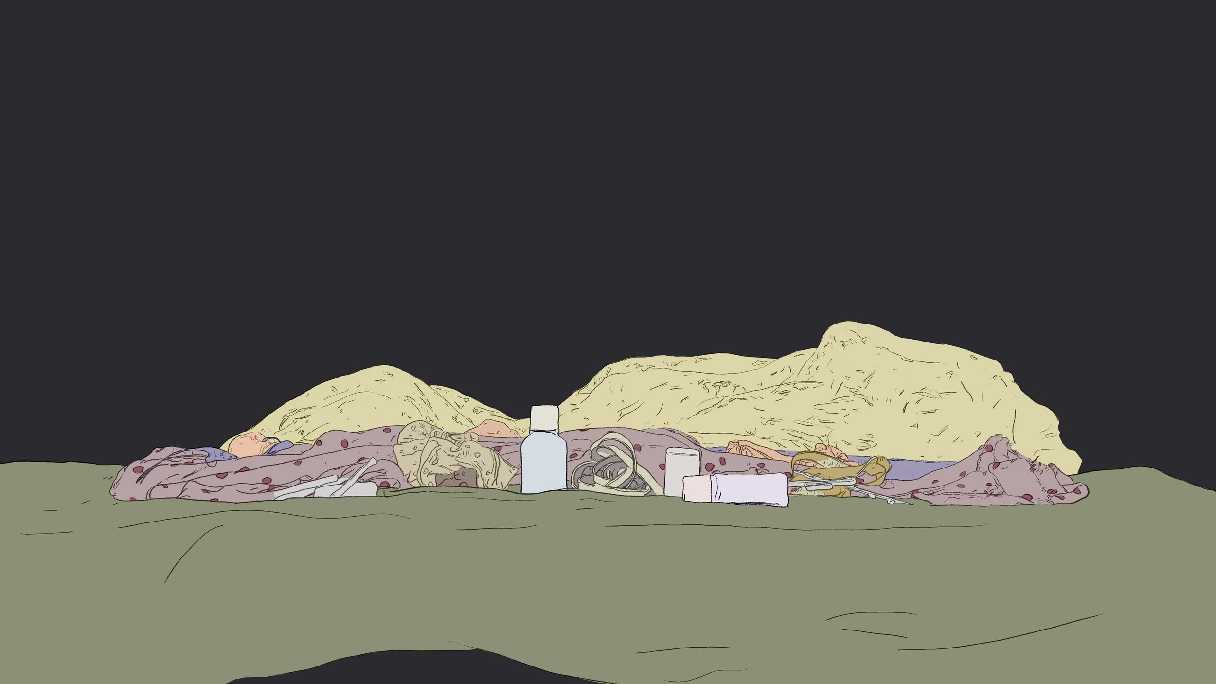 555-2.jpg