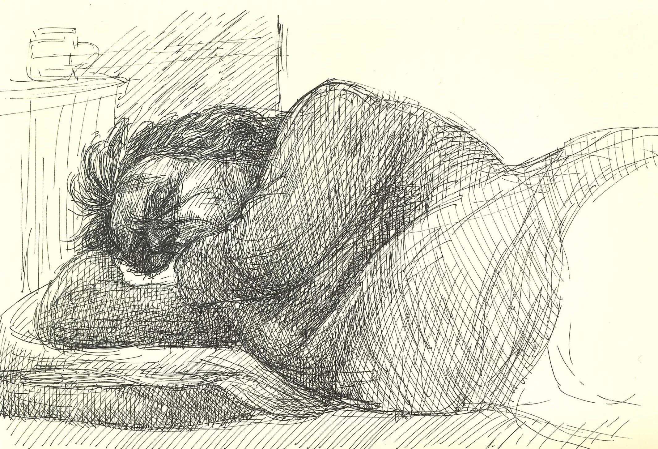 Cohabitation, No6.jpg