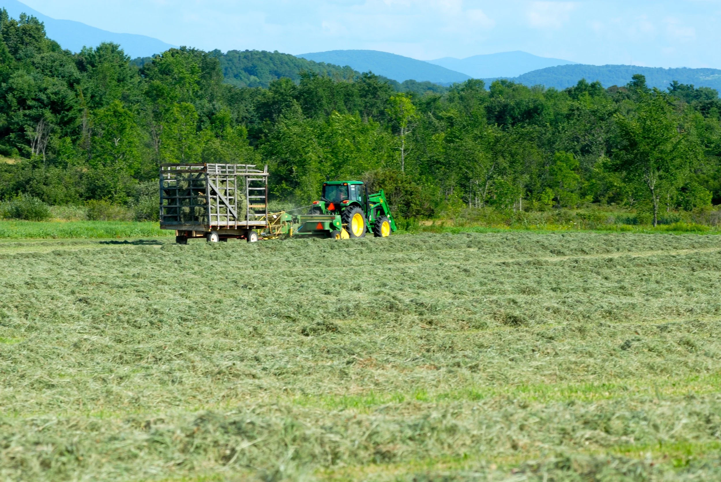 Hay making, Charlotte Vermont
