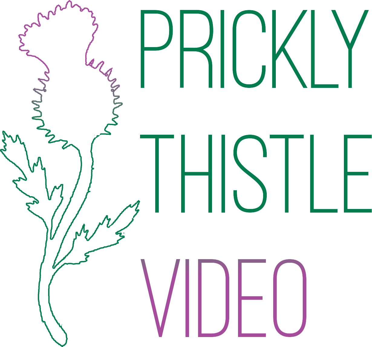 Prickly Thistle Video