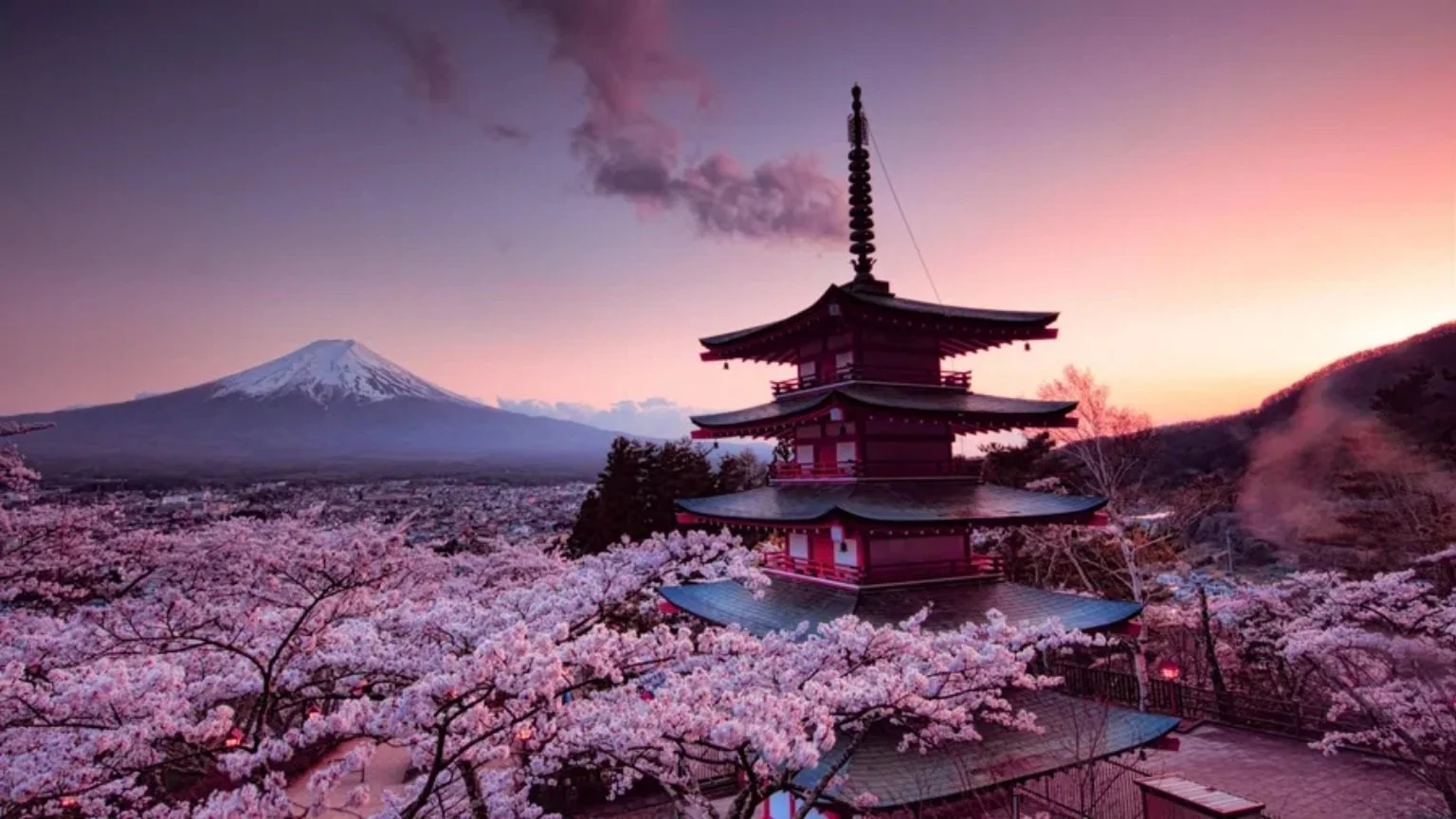 Un tempio tradizionale giapponese circondato da alberi di ciliegio in piena fioritura con petali rosa, con lo sfondo del Monte Fuji e un cielo al tramonto