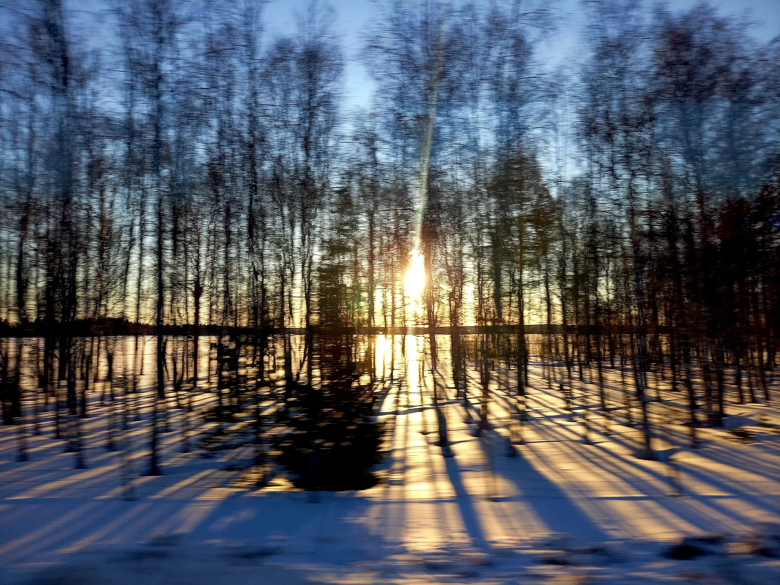 Tronco di alberi spogli durante un tramonto con riflesso nel fiume